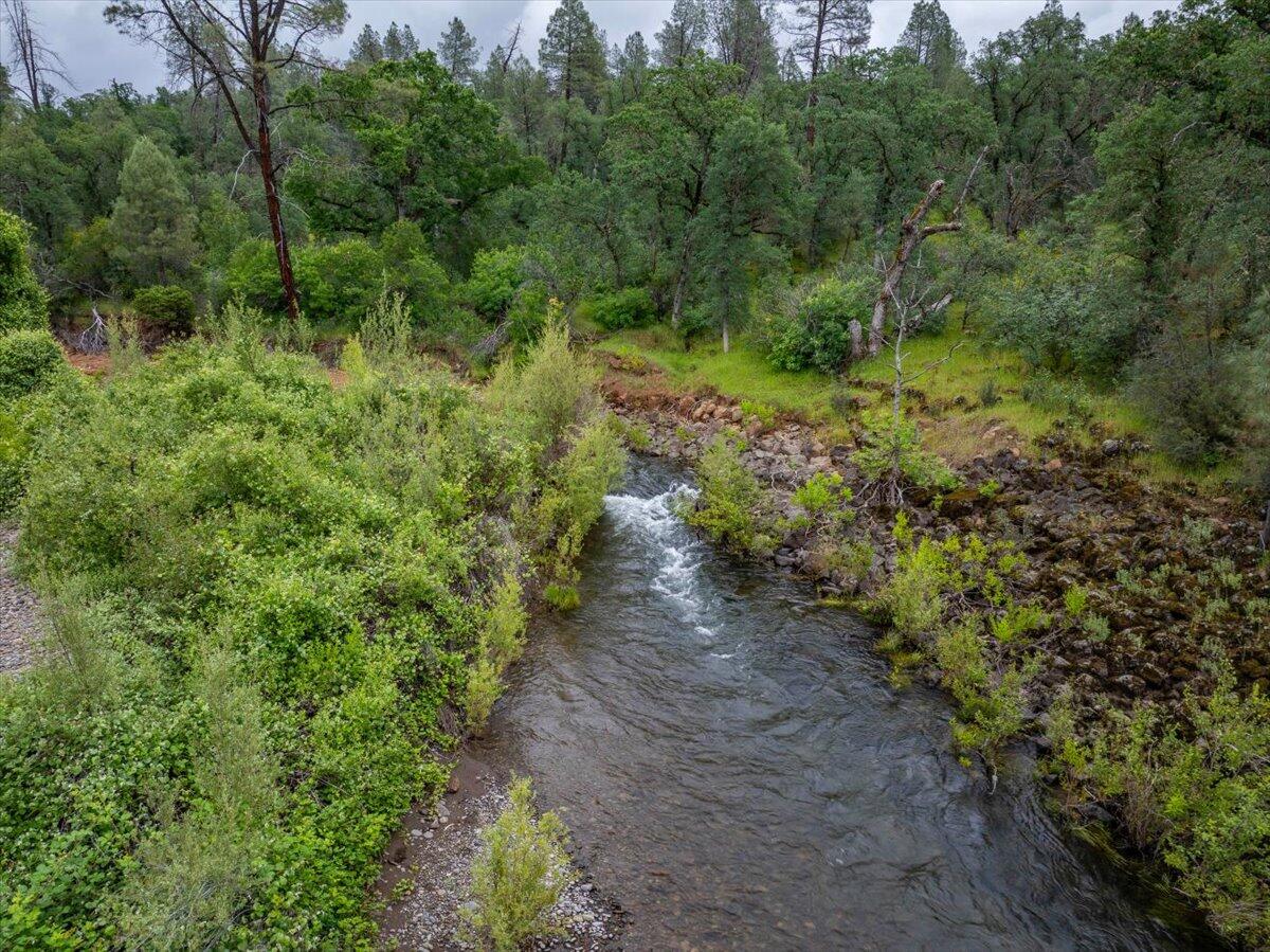 17 Dersch Road Shingletown, CA 96088 - Photo 6 of 14 a view of a large yard with lots of trees