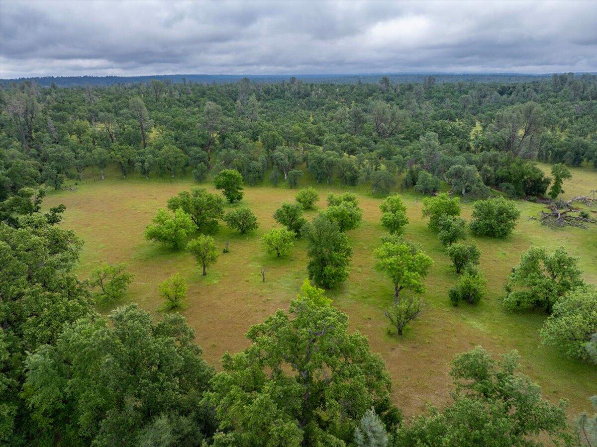 17 Dersch Road Shingletown, CA 96088 - Photo 7 of 14 a view of a lake with a yard
