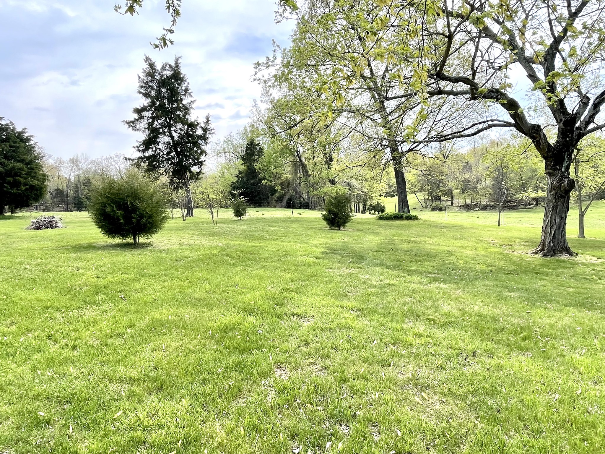 5665 Princeton Road Hopkinsville, KY 42240 - Photo 23 of 28 Gallery Image 23