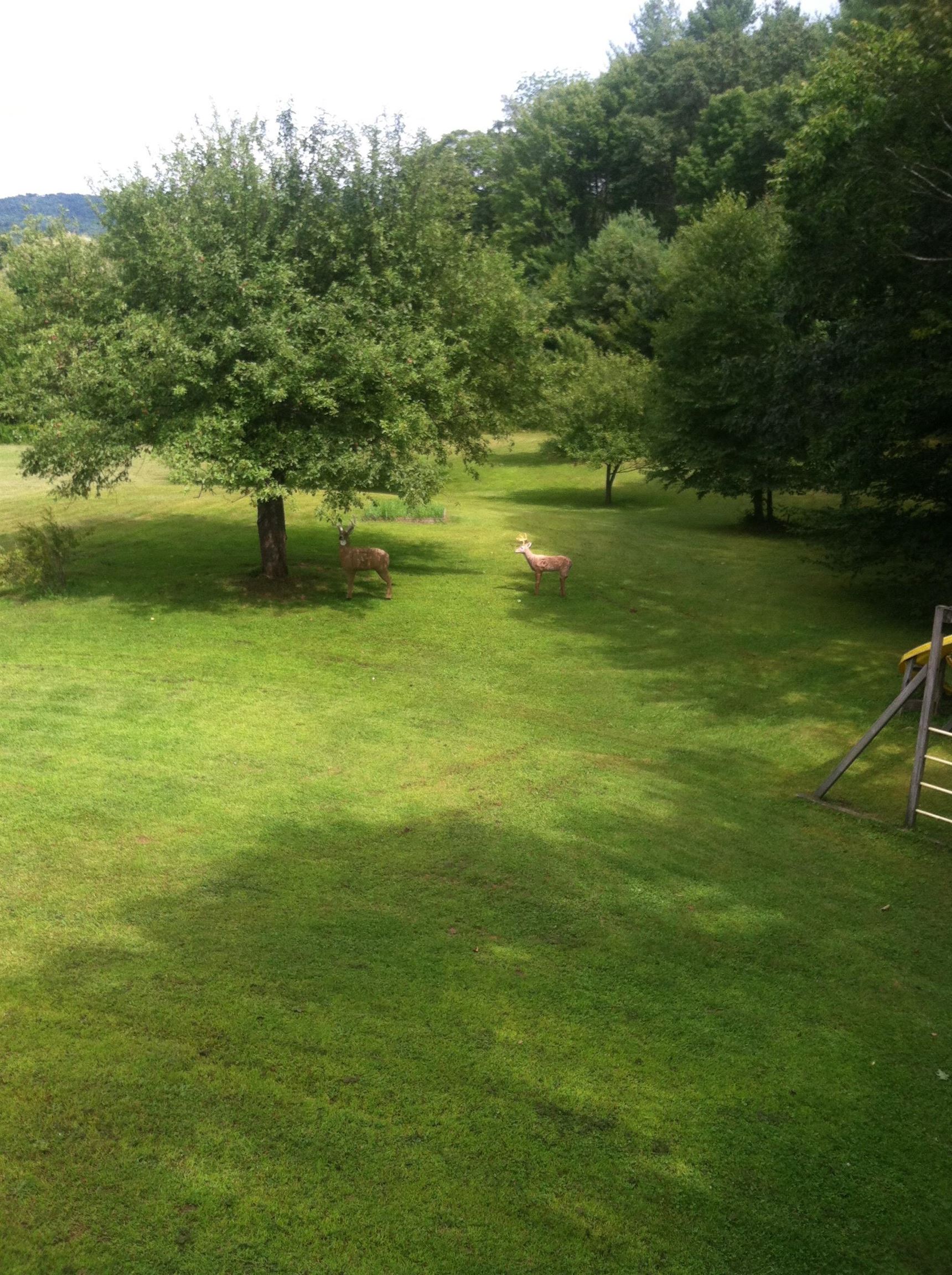 147 Pleasantview Lane Chester, VT 05143 - Photo 53 of 53 Gallery Image 53