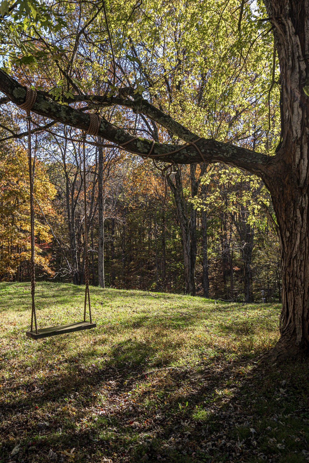 5561 Parker Branch Road Franklin, TN 37064 - Photo 17 of 21 a view of outdoor space with deck and trees