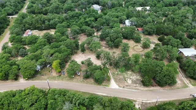 a view of a yard with plants and tree