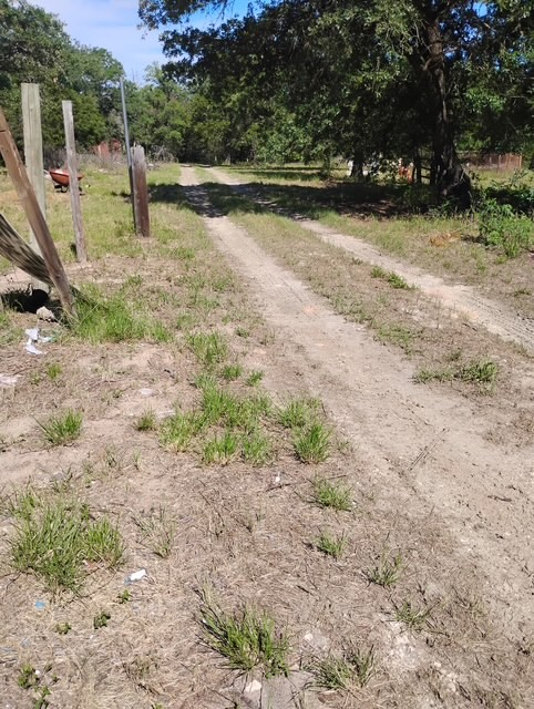 647 Hidden Oaks Drive Elgin, TX 78621 - Photo 5 of 5 a view of a park with large trees