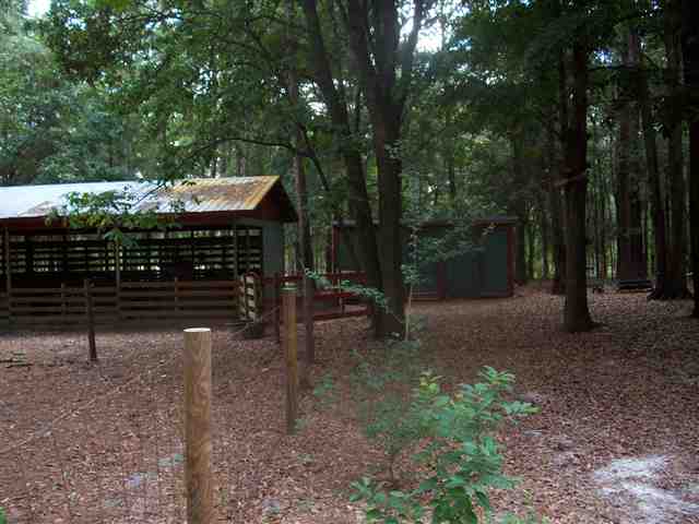 727 Robin Road, Unit 1 Monticello, FL 32344 - Photo 17 of 23 Gallery Image 17