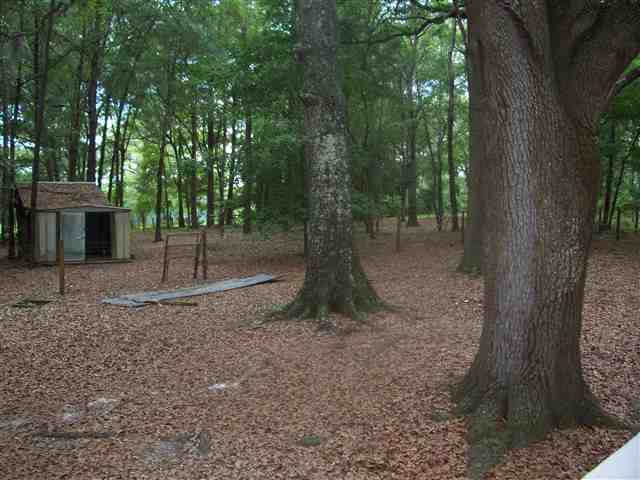 727 Robin Road, Unit 1 Monticello, FL 32344 - Photo 2 of 23 Gallery Image 2
