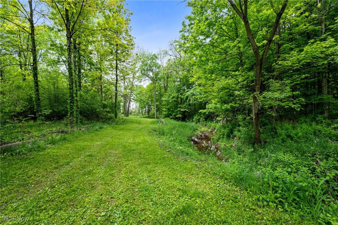 16364 Hallauer Road Oberlin, OH 44074 - Photo 43 of 48 walking path in back of property