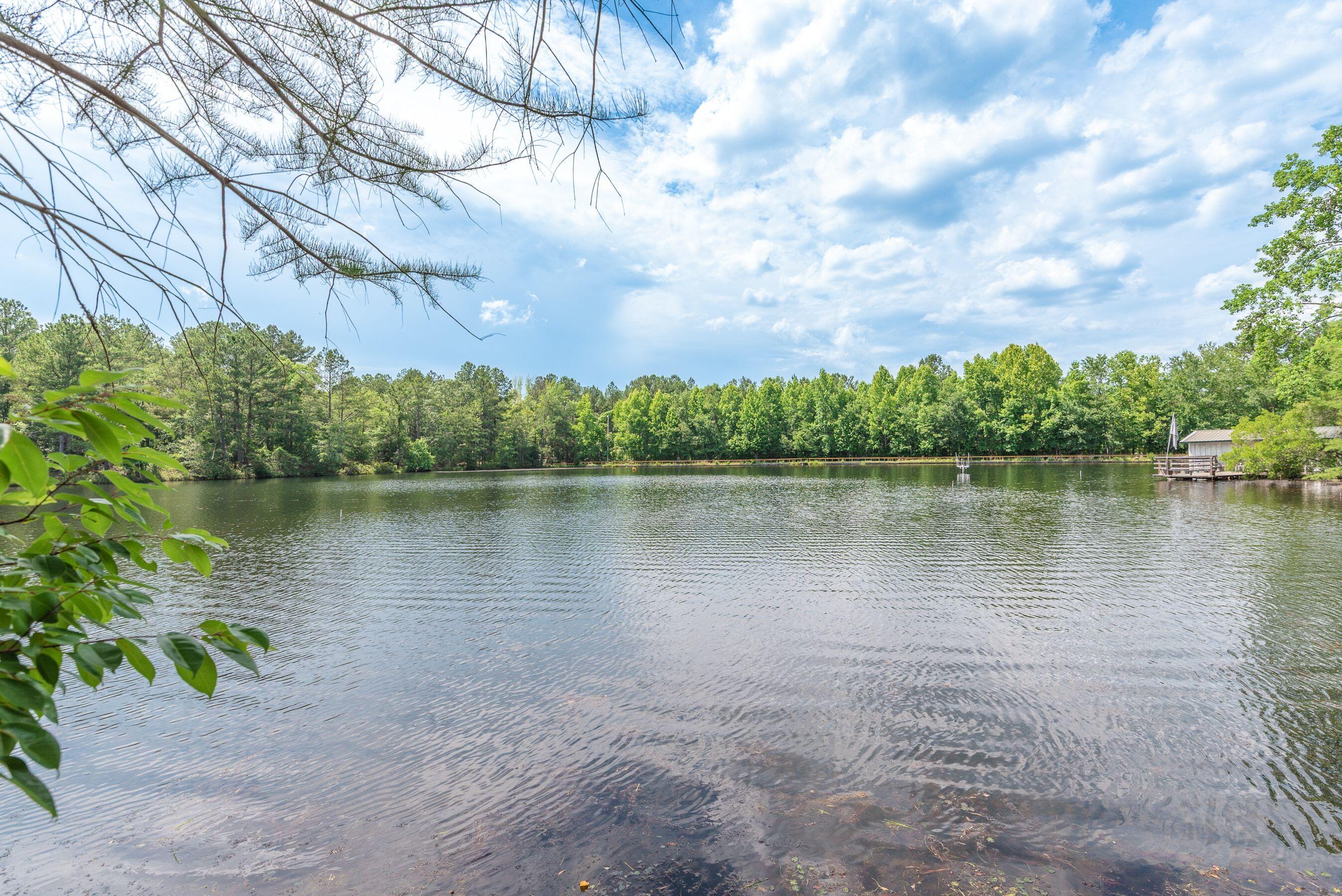 1366 Cummings Road Ridge Spring, SC 29129 - Photo 24 of 150