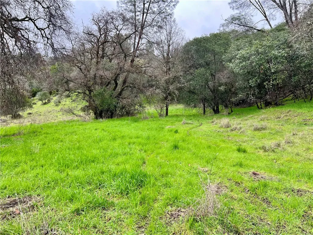6590 Hotel Lucerne, CA 95458 - Photo 4 of 9 a view of green field with trees in the background