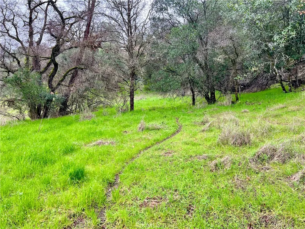6590 Hotel Lucerne, CA 95458 - Photo 6 of 9 a view of green field with trees