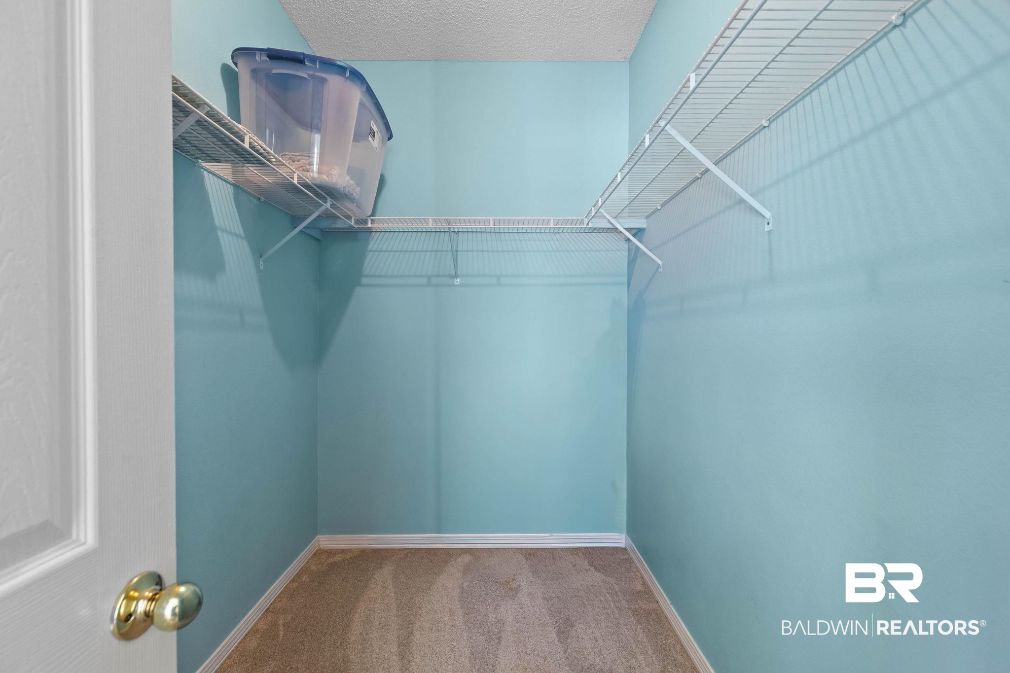 545 Plantation Road, Unit 3 Gulf Shores, AL 36542 - Photo 26 of 54 Walk in closet with carpet