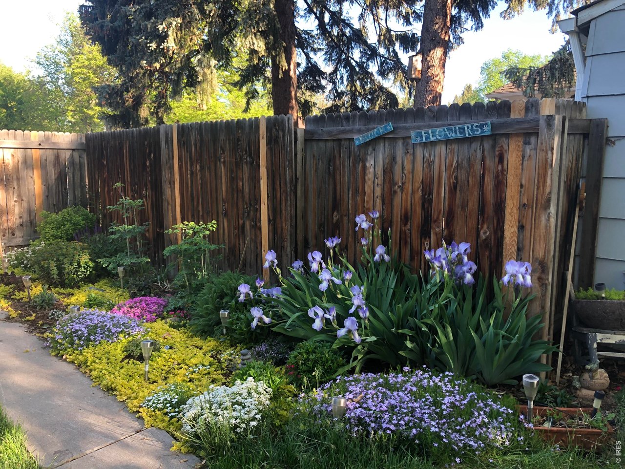206 South Shields Street Fort Collins, CO 80521 - Photo 29 of 47 a view of garden with flowers and wooden fence