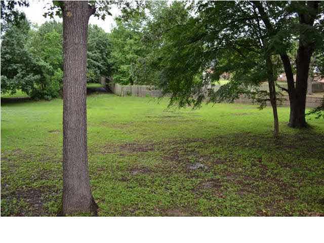 134 Trace Ridge Drive Ridgeland, MS 39157 - Photo 23 of 24 Huge backyard