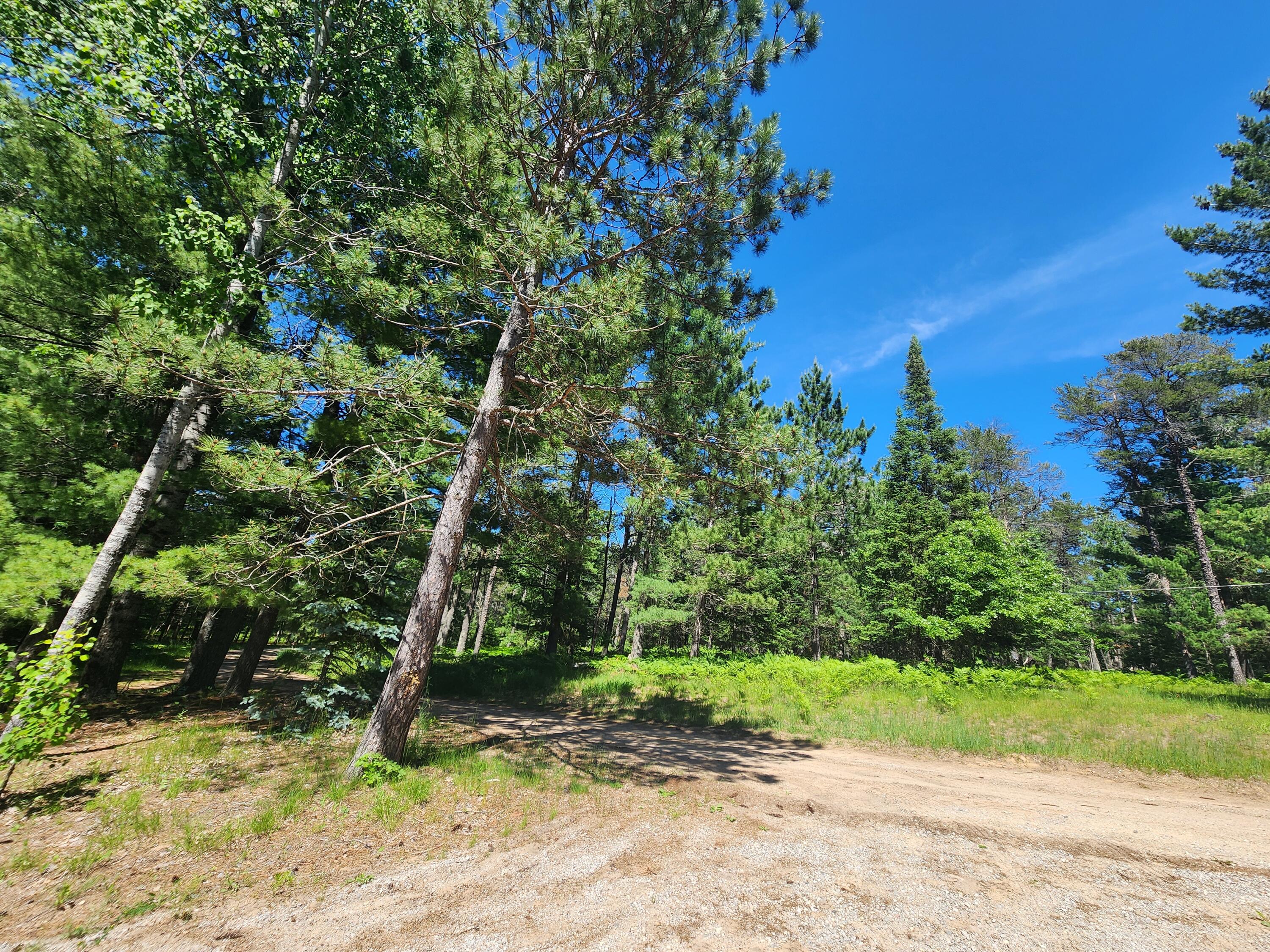 3434 North Ausable Road Mio, MI 48647 - Photo 80 of 87 Gallery Image 80