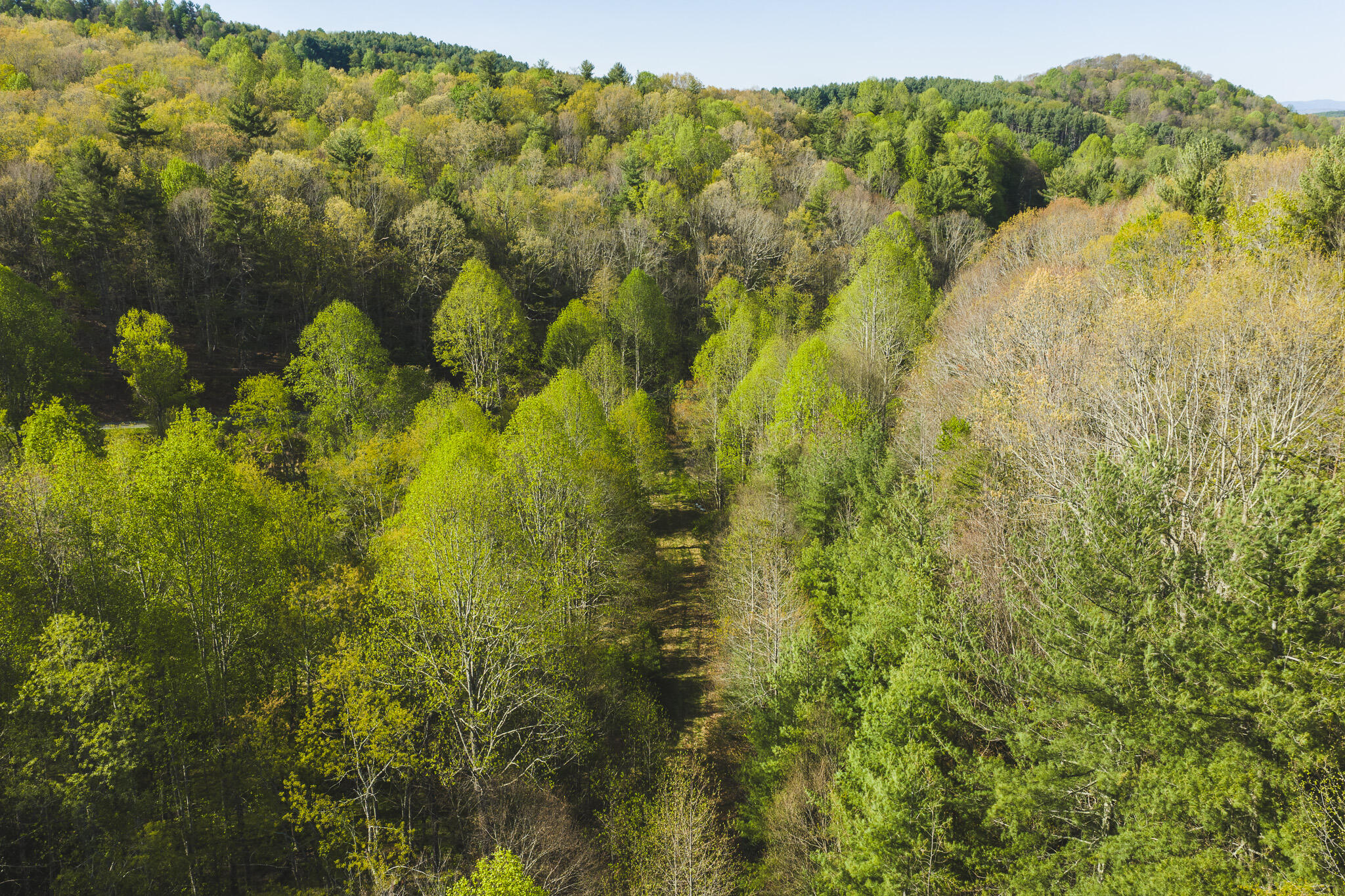 Tbd Black Ridge Road Southwest Floyd, VA 24091 - Photo 11 of 38 DJI_20260421171402_0615_D