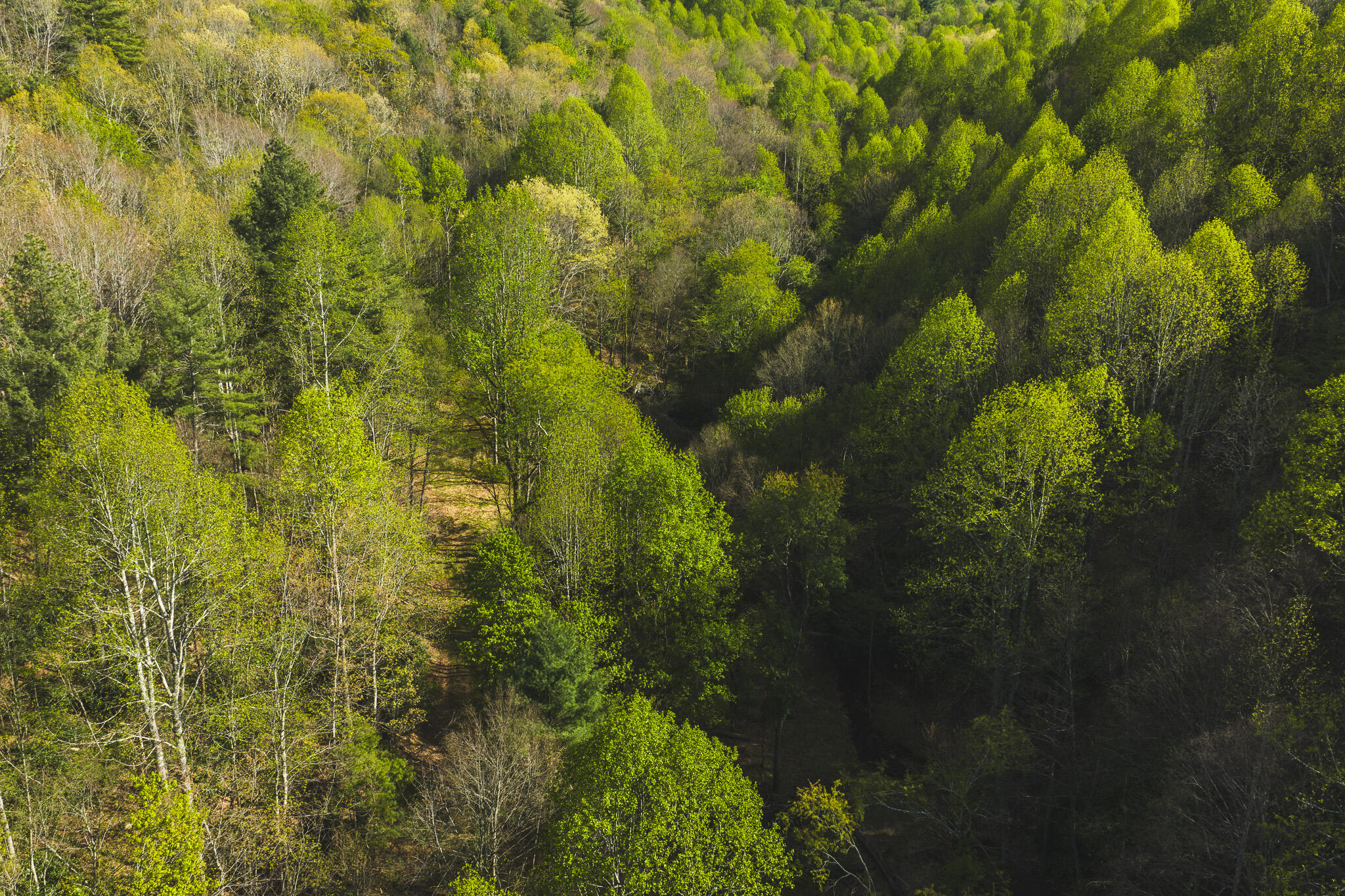 Tbd Black Ridge Road Southwest Floyd, VA 24091 - Photo 12 of 38 DJI_20260421171436_0617_D