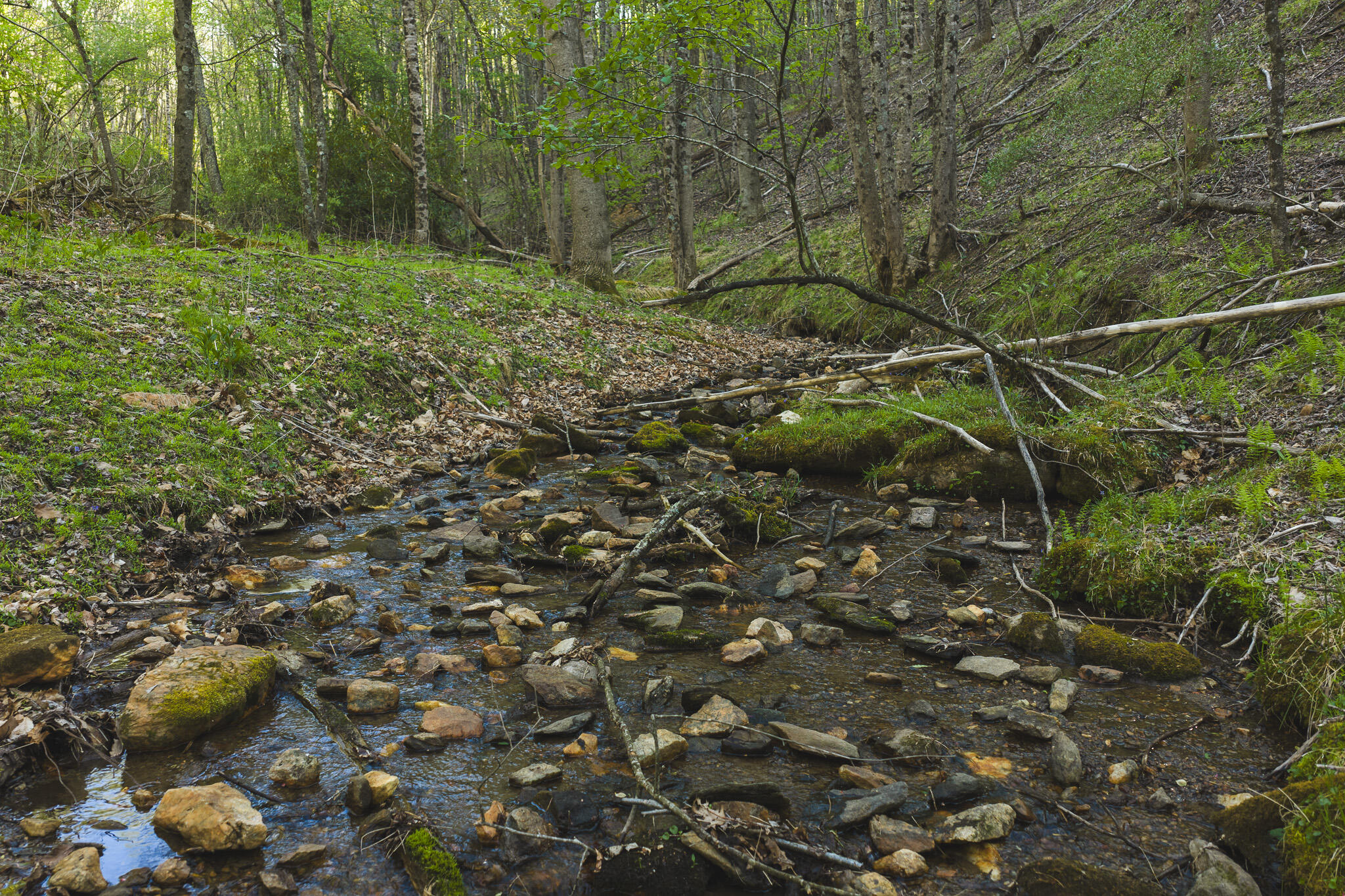 Tbd Black Ridge Road Southwest Floyd, VA 24091 - Photo 14 of 38 DJI_20260421172621_0626_D