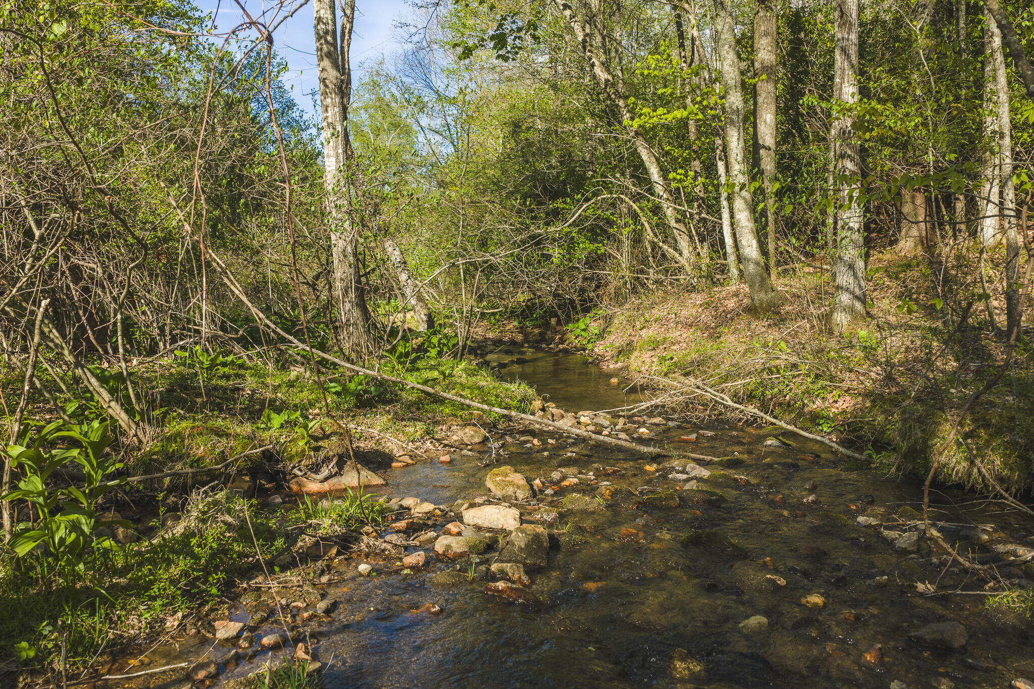 Tbd Black Ridge Road Southwest Floyd, VA 24091 - Photo 16 of 38 DJI_20260421173947_0633_D