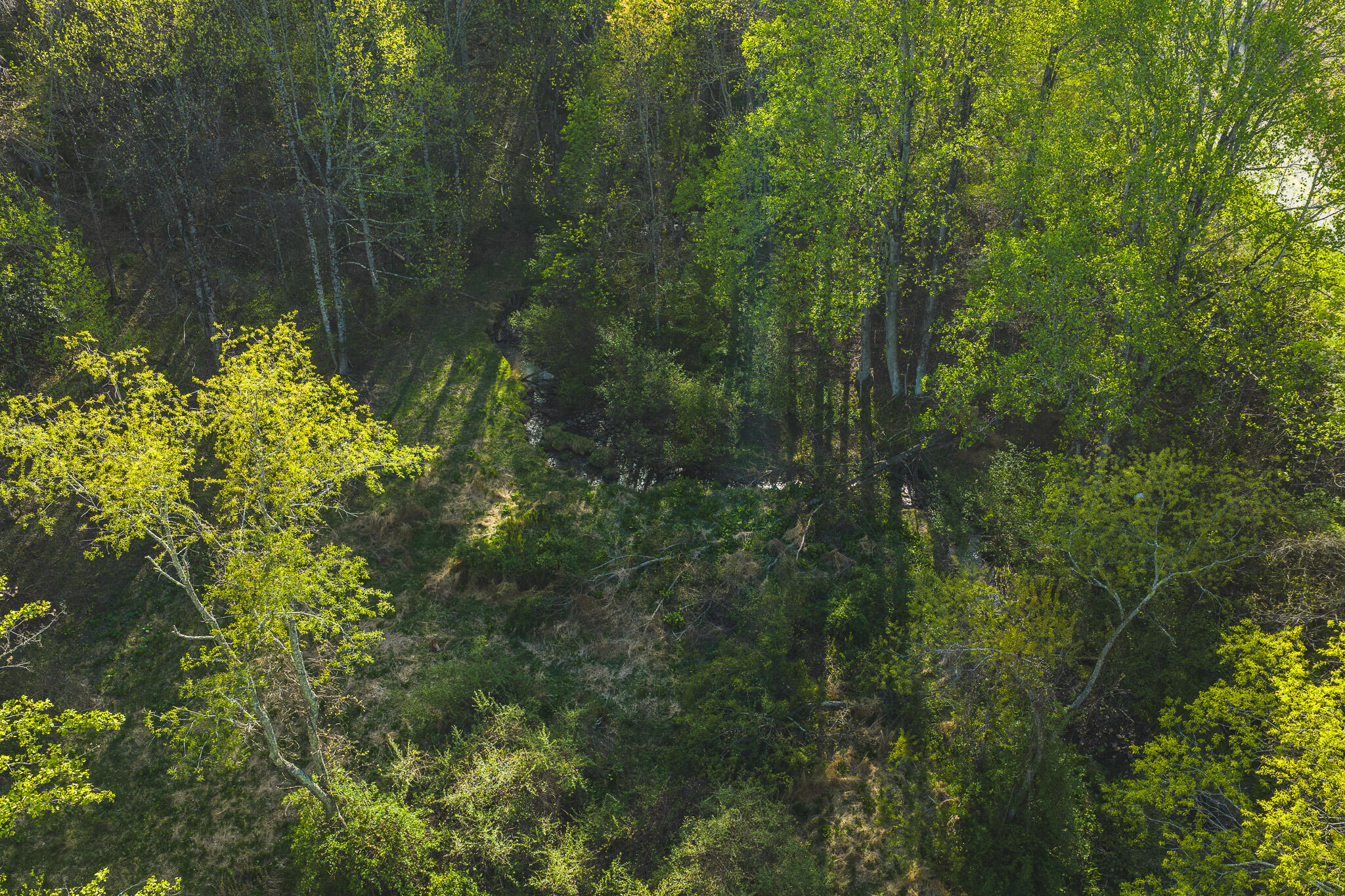 Tbd Black Ridge Road Southwest Floyd, VA 24091 - Photo 18 of 38 DJI_20260421174158_0638_D