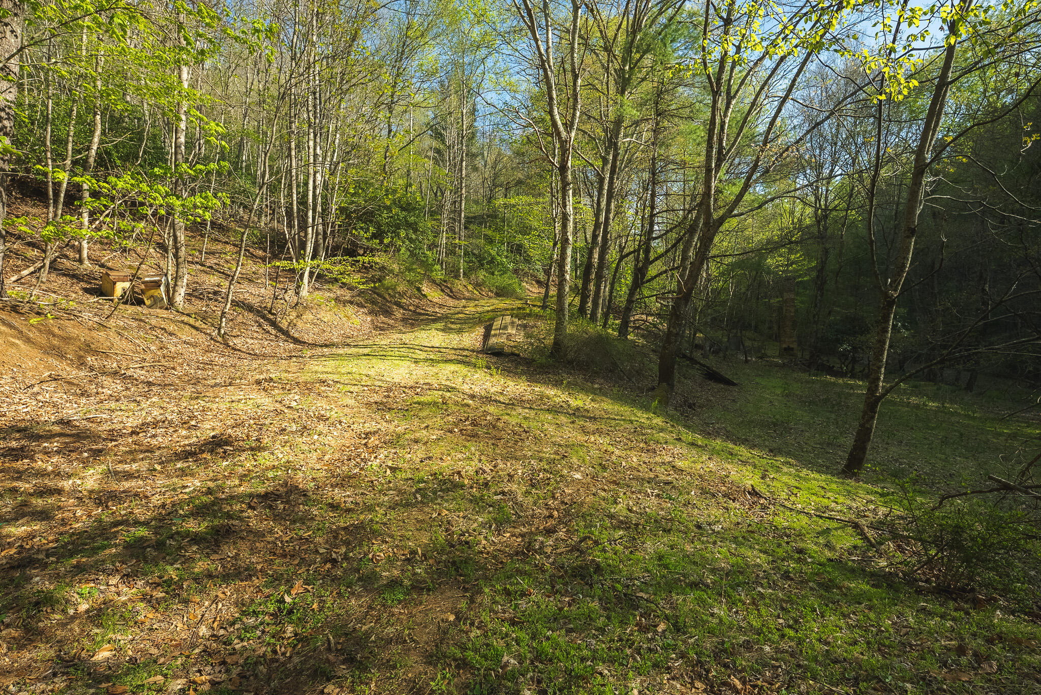 Tbd Black Ridge Road Southwest Floyd, VA 24091 - Photo 19 of 38 DSC00729