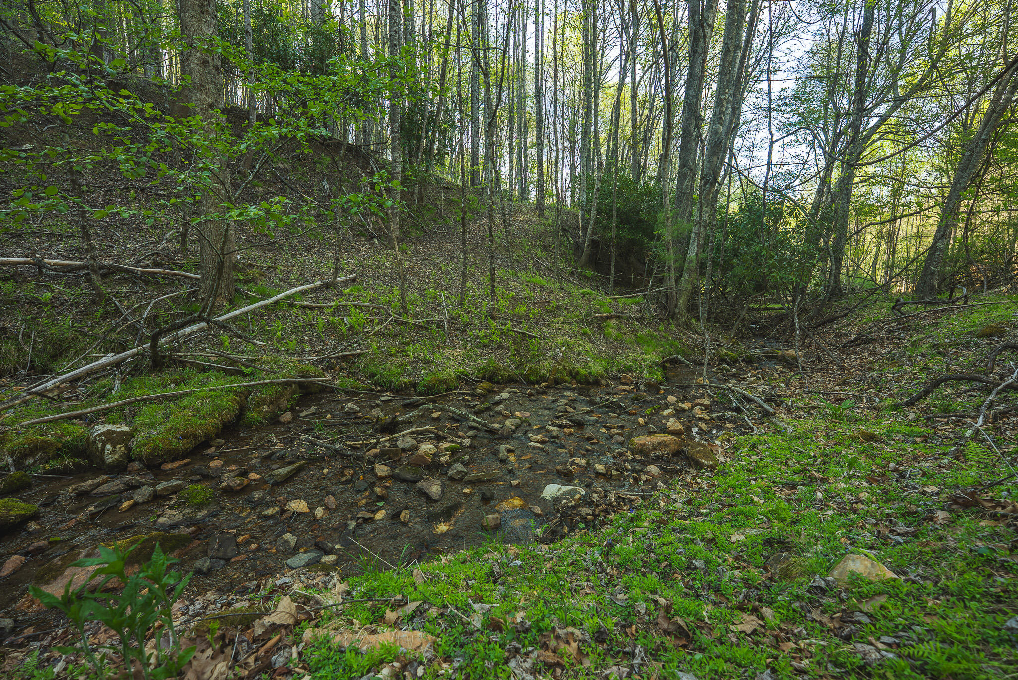 Tbd Black Ridge Road Southwest Floyd, VA 24091 - Photo 20 of 38 DSC00730