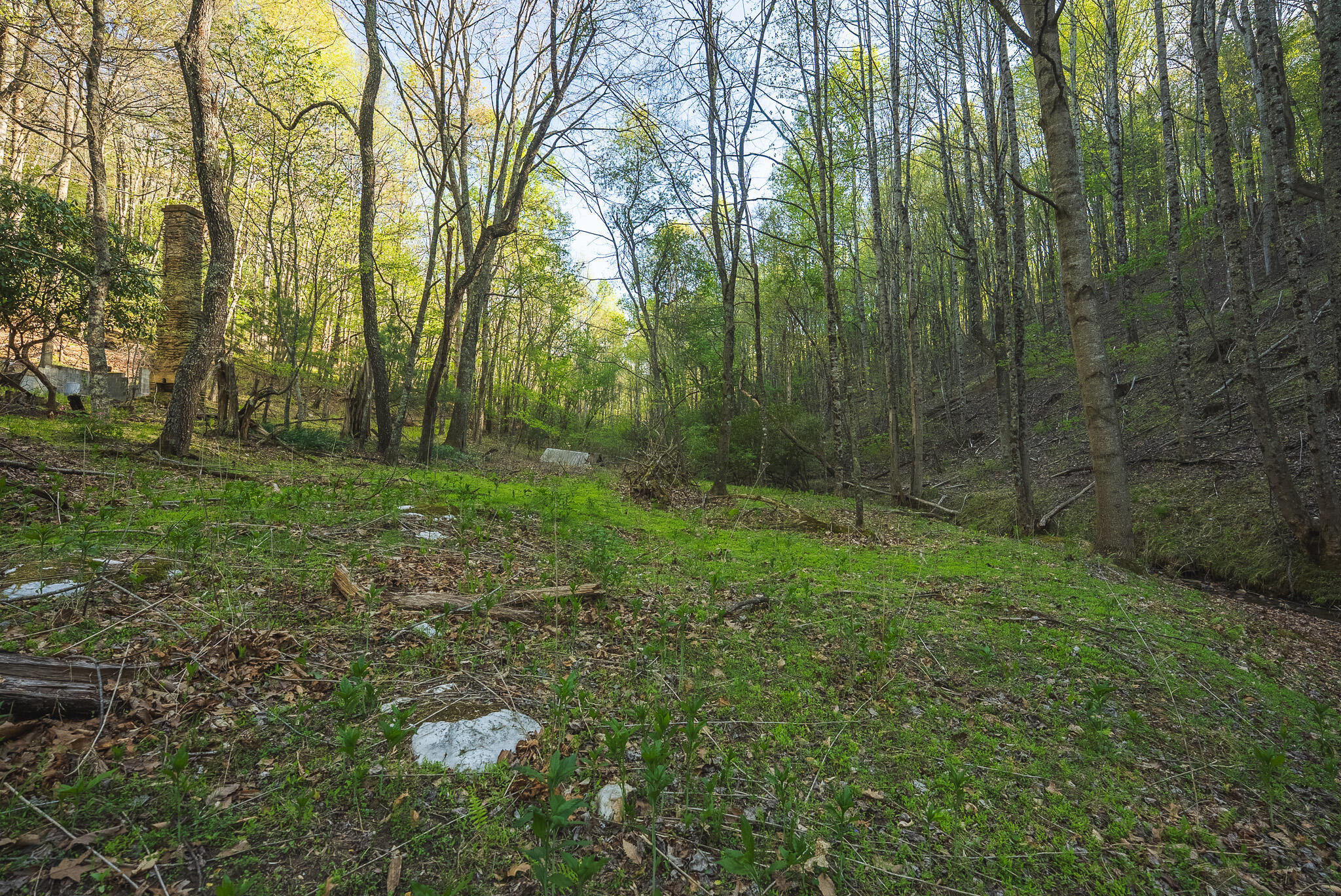 Tbd Black Ridge Road Southwest Floyd, VA 24091 - Photo 22 of 38 DSC00732