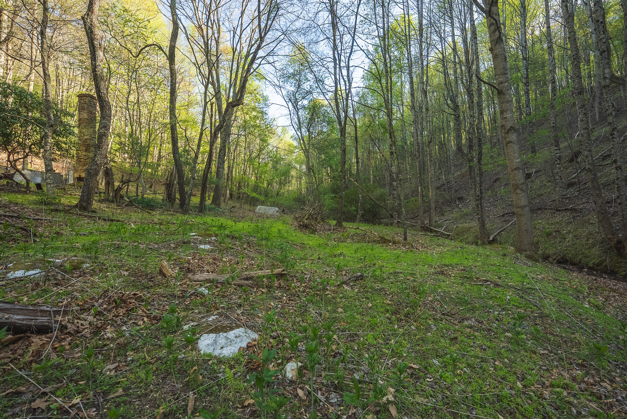 Tbd Black Ridge Road Southwest Floyd, VA 24091 - Photo 23 of 38 DSC00733