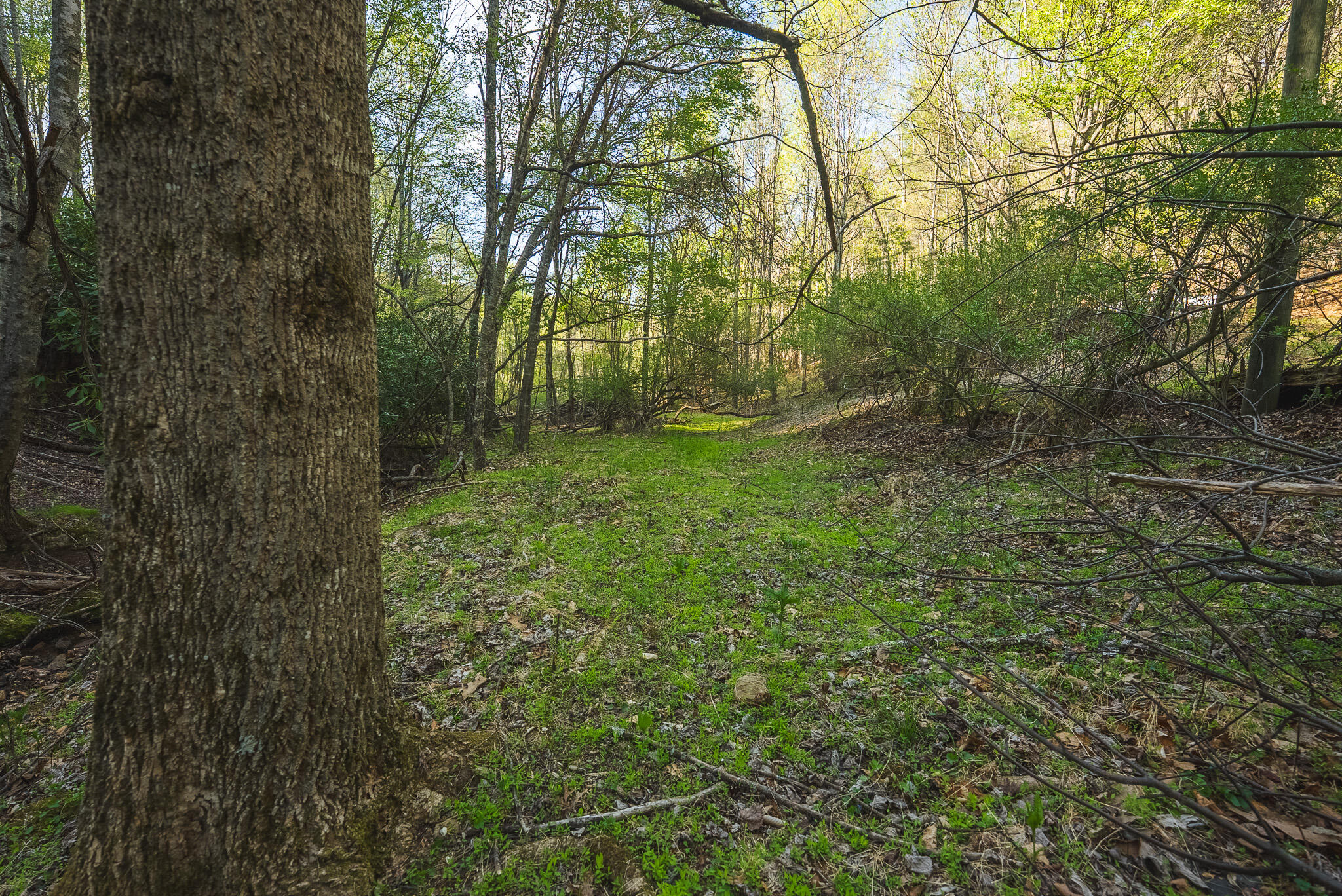 Tbd Black Ridge Road Southwest Floyd, VA 24091 - Photo 24 of 38 DSC00734