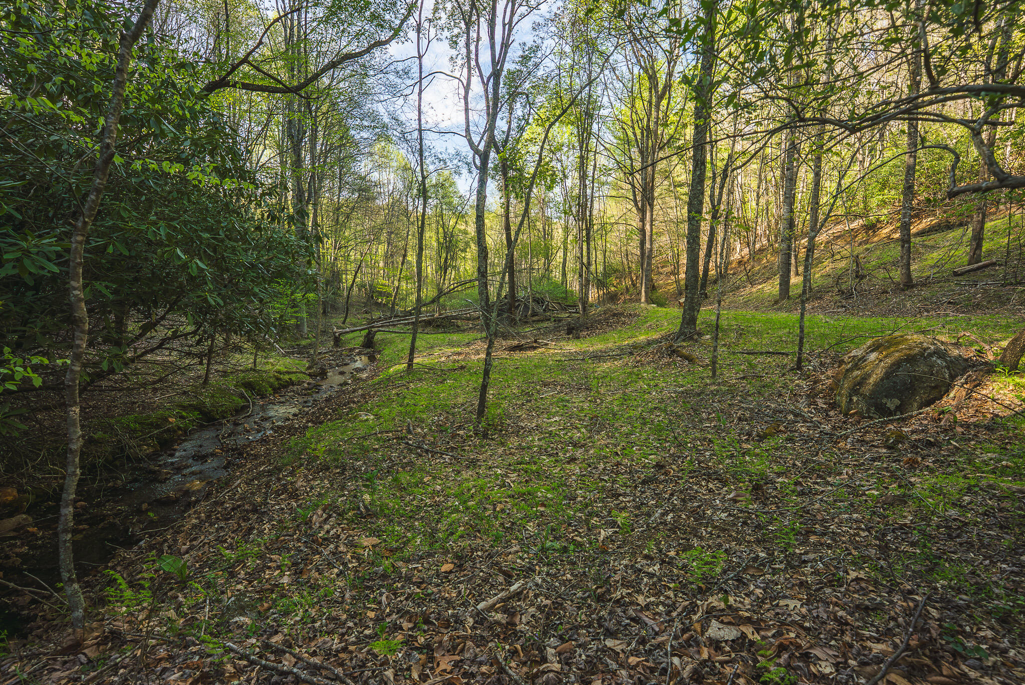 Tbd Black Ridge Road Southwest Floyd, VA 24091 - Photo 25 of 38 DSC00735