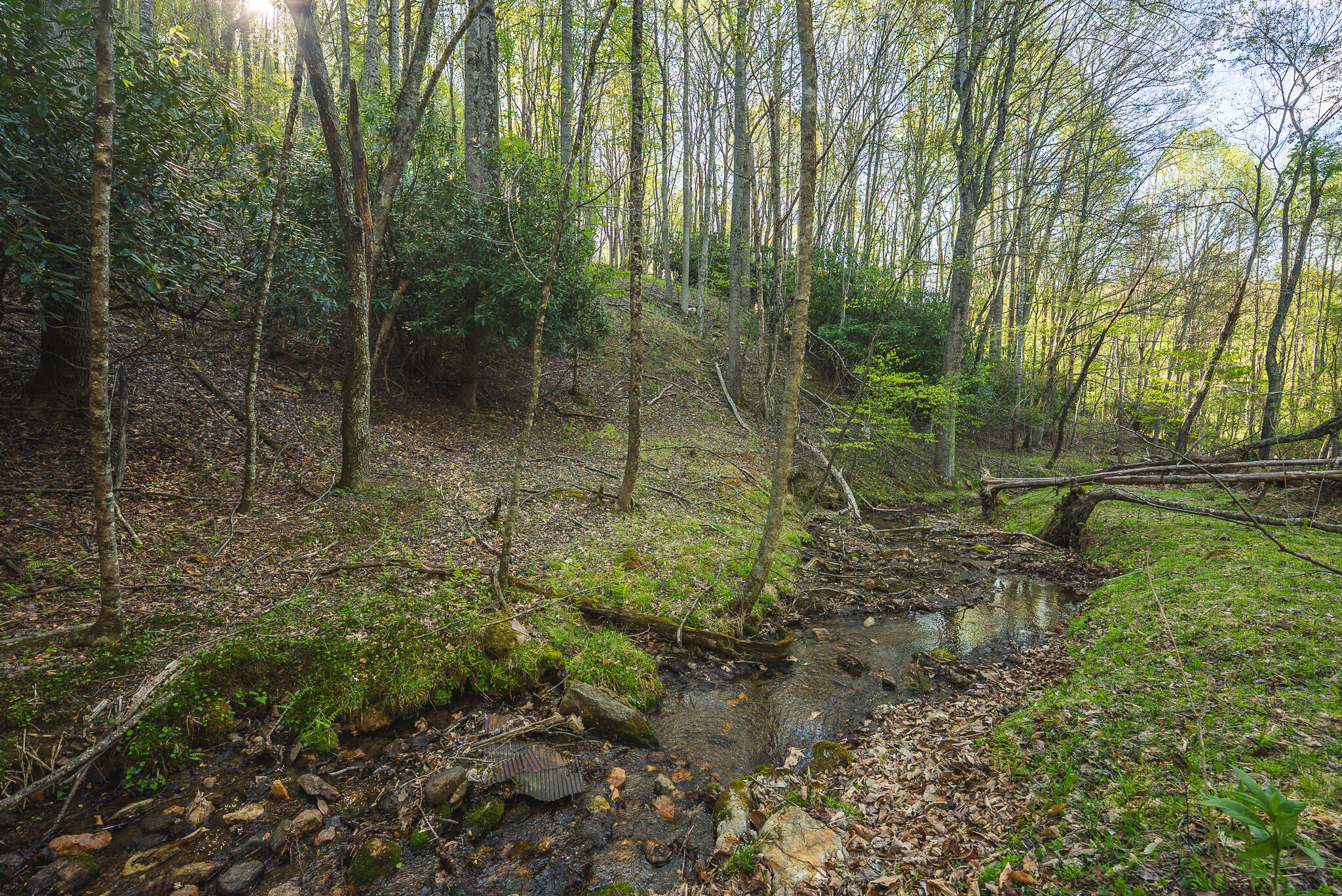 Tbd Black Ridge Road Southwest Floyd, VA 24091 - Photo 26 of 38 DSC00736