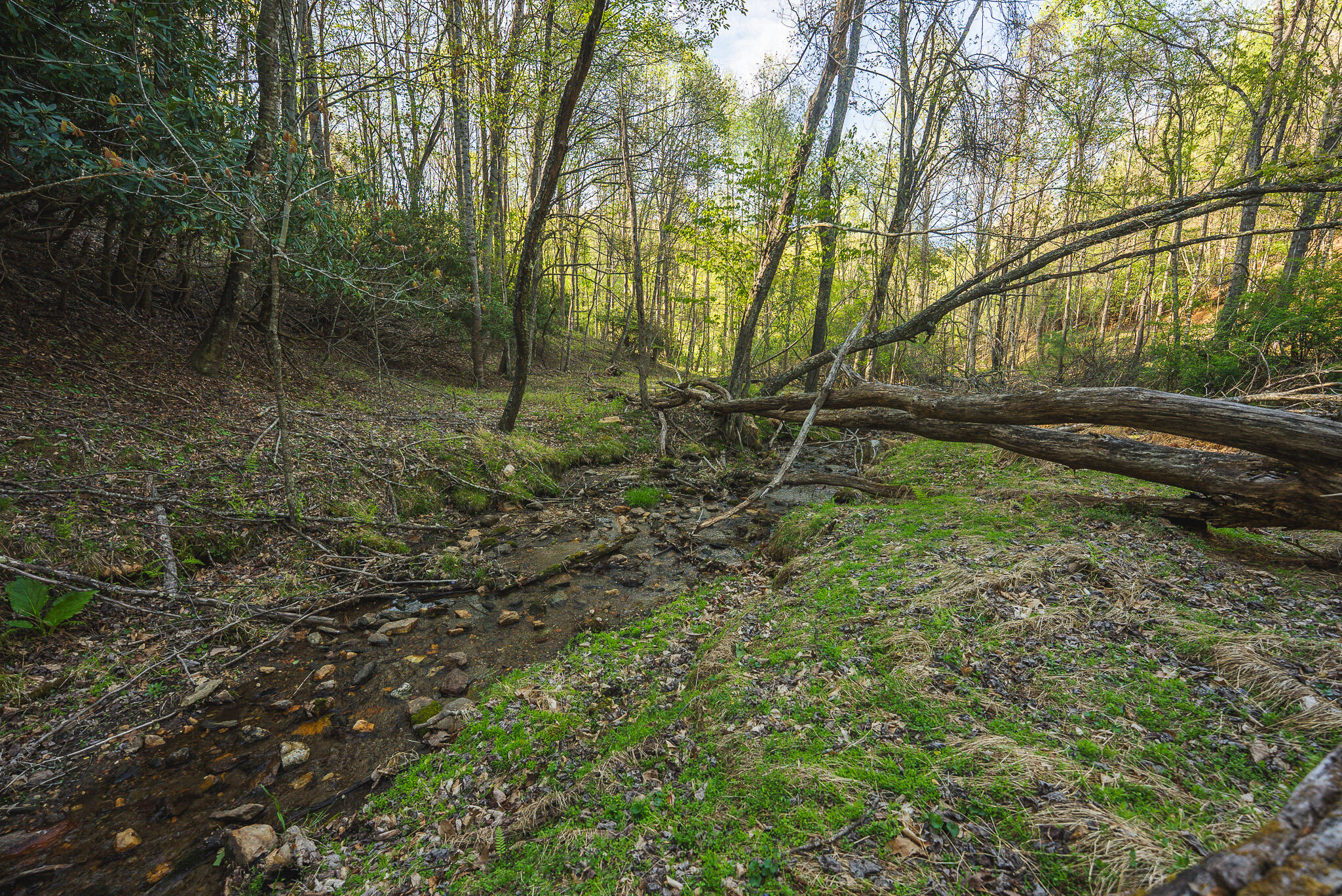 Tbd Black Ridge Road Southwest Floyd, VA 24091 - Photo 27 of 38 DSC00737
