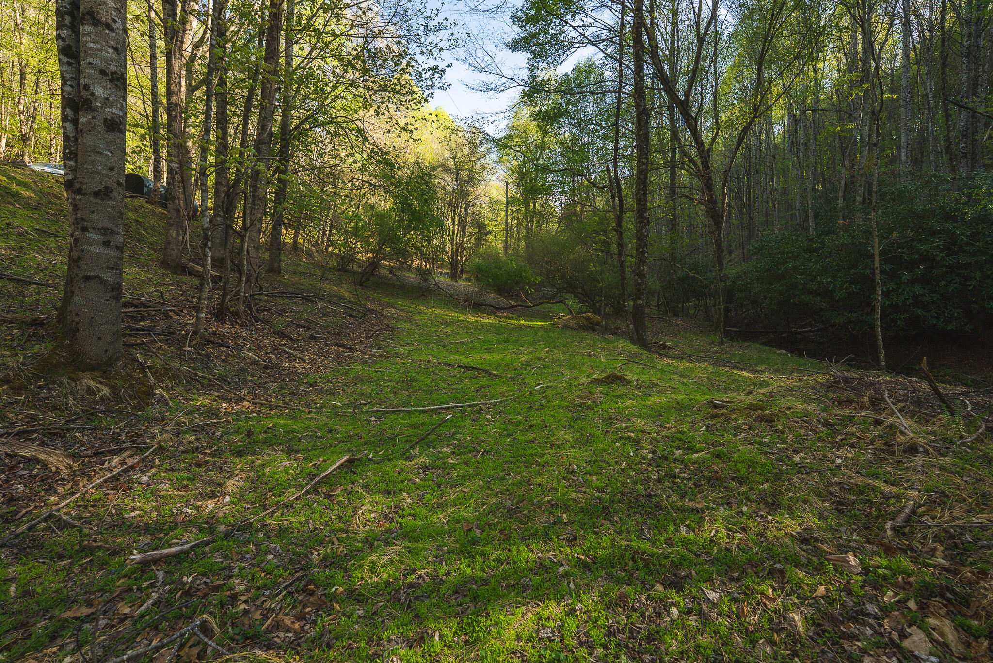 Tbd Black Ridge Road Southwest Floyd, VA 24091 - Photo 28 of 38 DSC00738