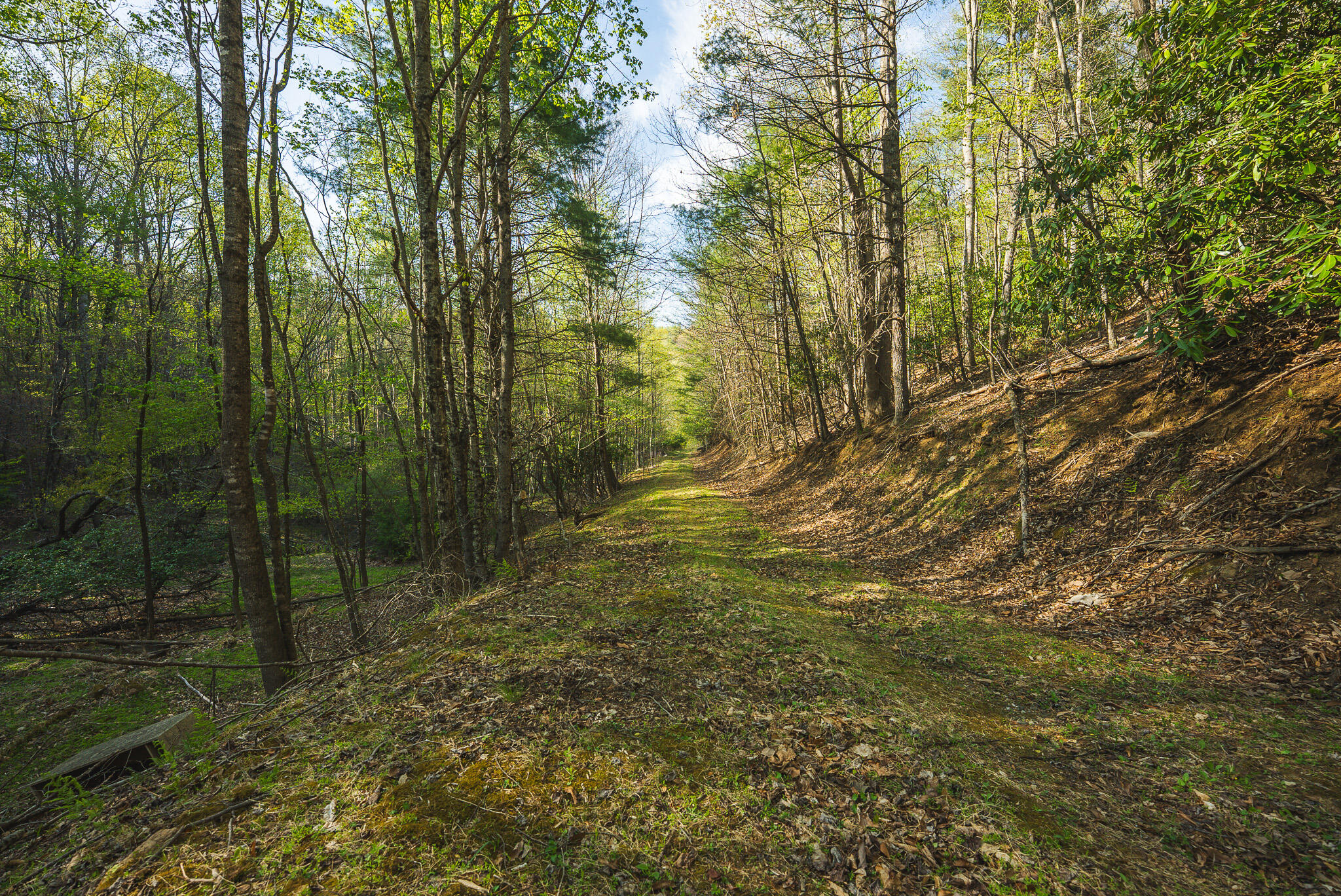 Tbd Black Ridge Road Southwest Floyd, VA 24091 - Photo 29 of 38 DSC00740