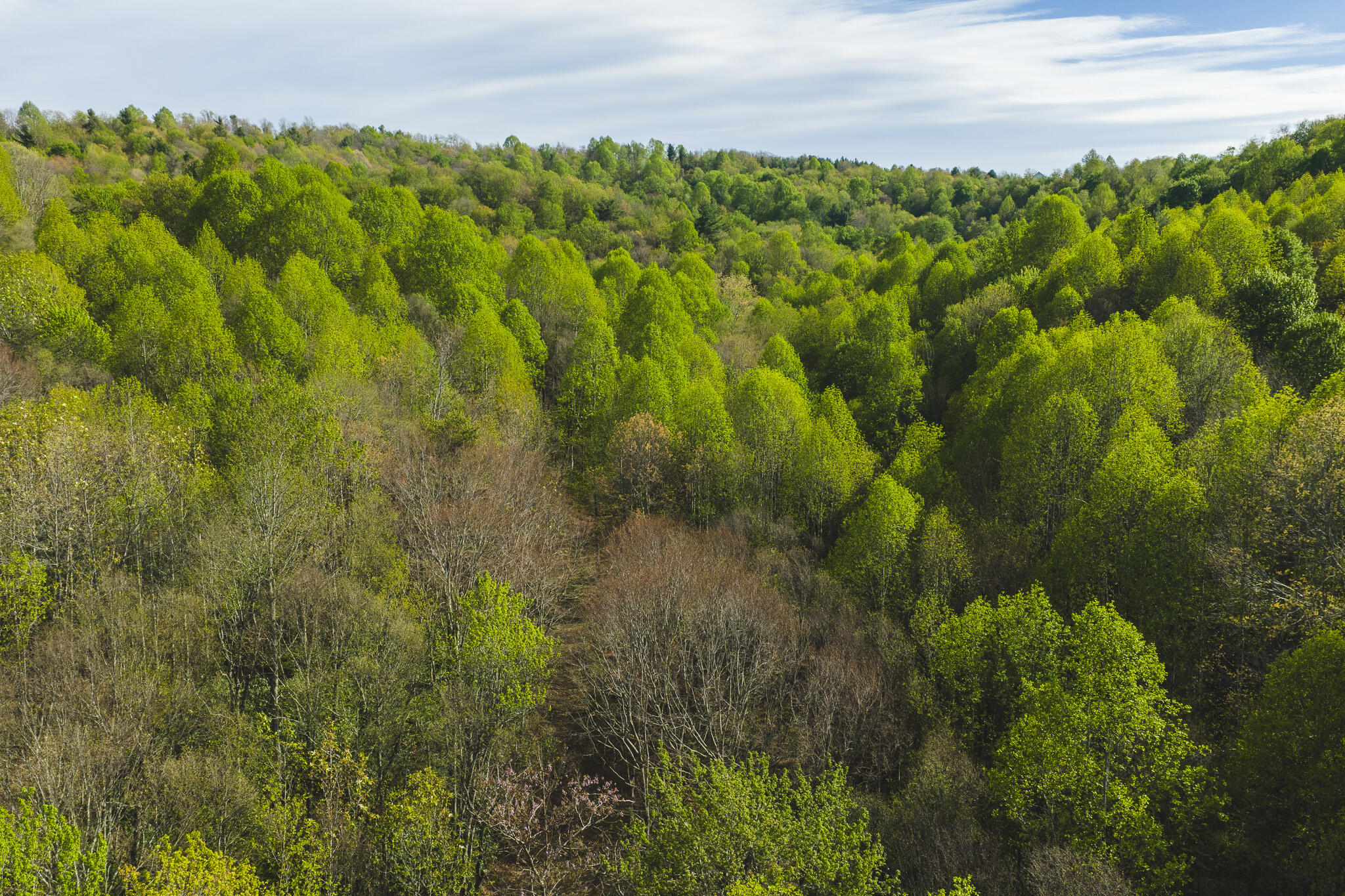Tbd Black Ridge Road Southwest Floyd, VA 24091 - Photo 3 of 38 DJI_20260421170848_0600_D