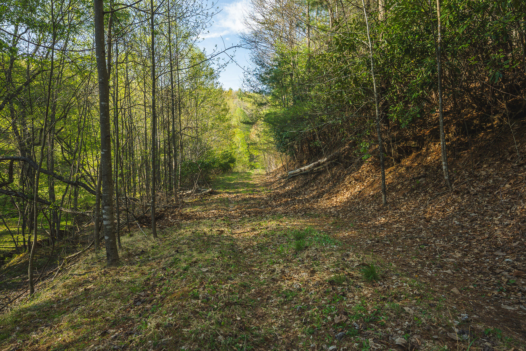 Tbd Black Ridge Road Southwest Floyd, VA 24091 - Photo 31 of 38 DSC00743