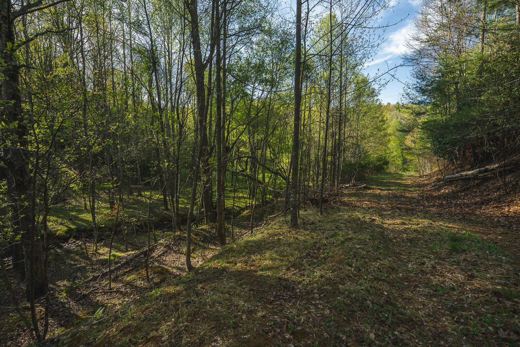 Tbd Black Ridge Road Southwest Floyd, VA 24091 - Photo 32 of 38 DSC00744