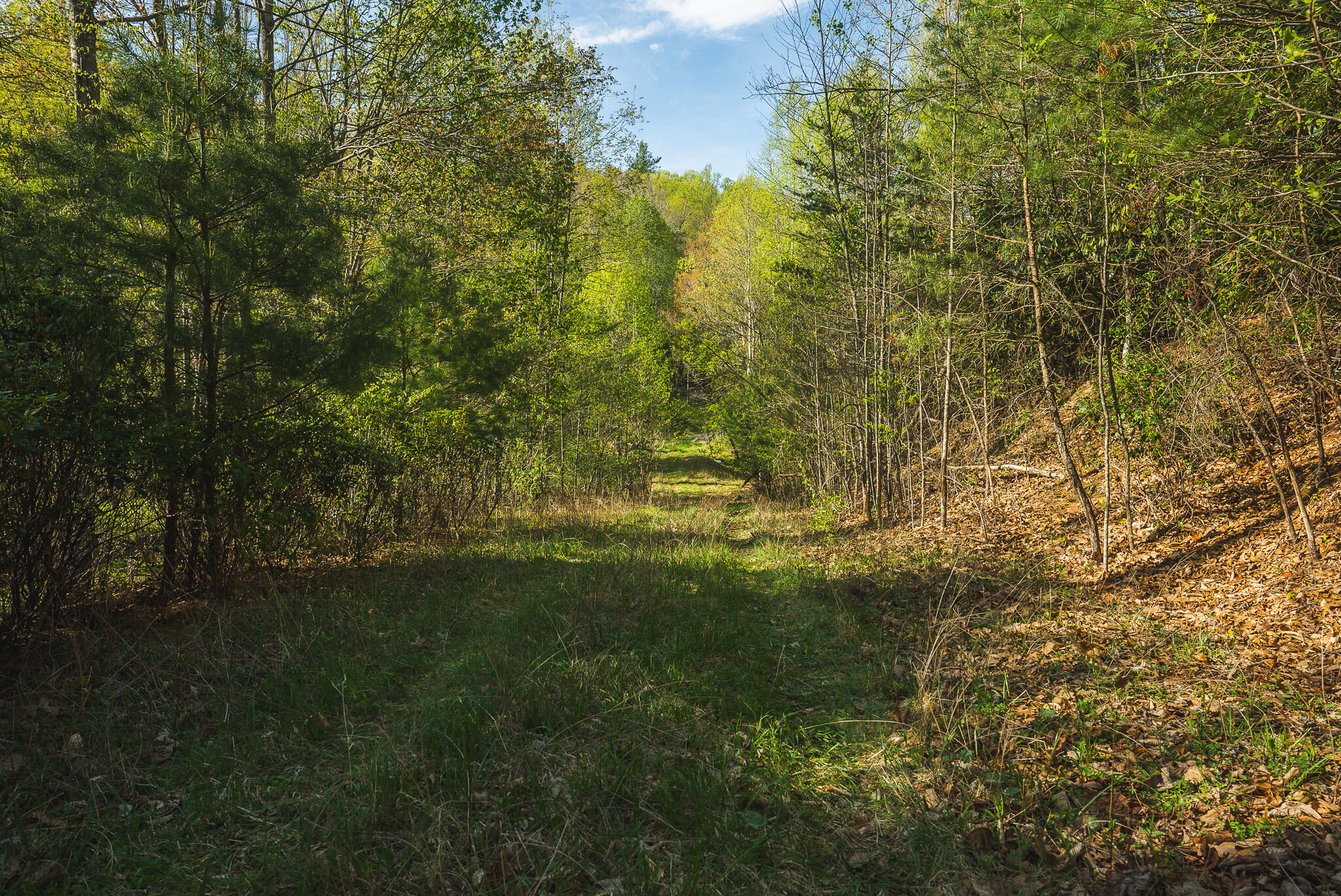 Tbd Black Ridge Road Southwest Floyd, VA 24091 - Photo 34 of 38 DSC00746
