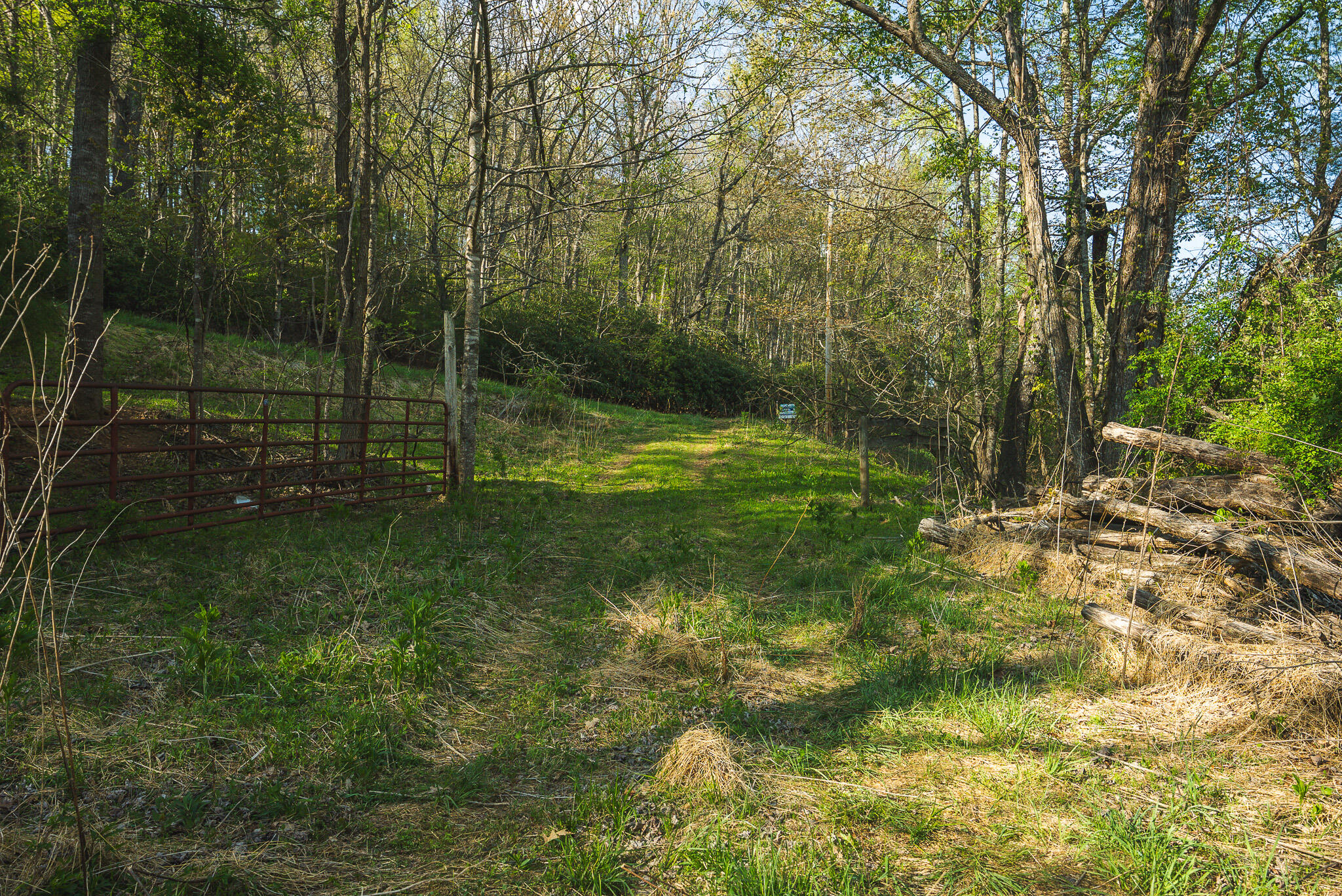 Tbd Black Ridge Road Southwest Floyd, VA 24091 - Photo 35 of 38 DSC00747