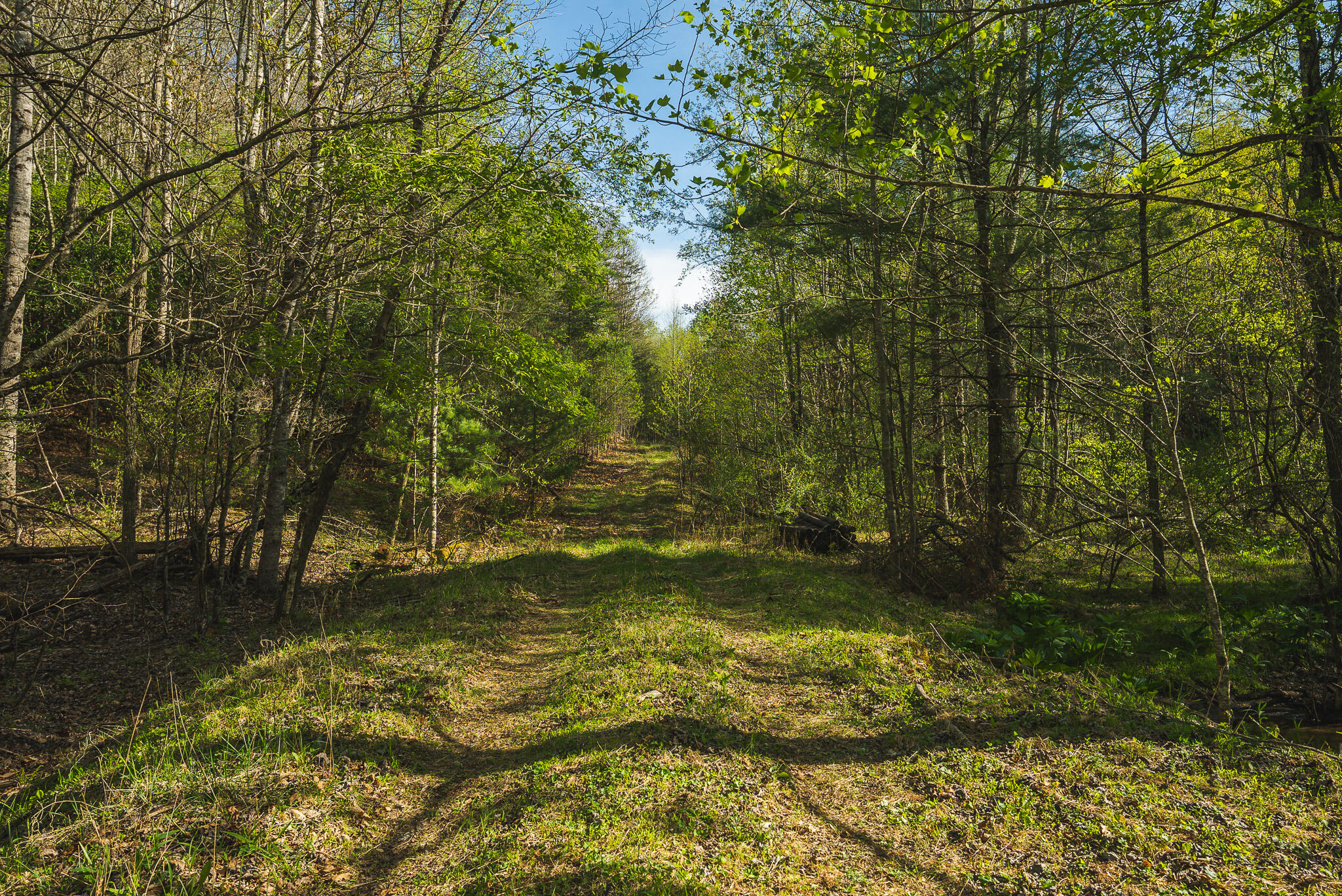 Tbd Black Ridge Road Southwest Floyd, VA 24091 - Photo 38 of 38 DSC00750