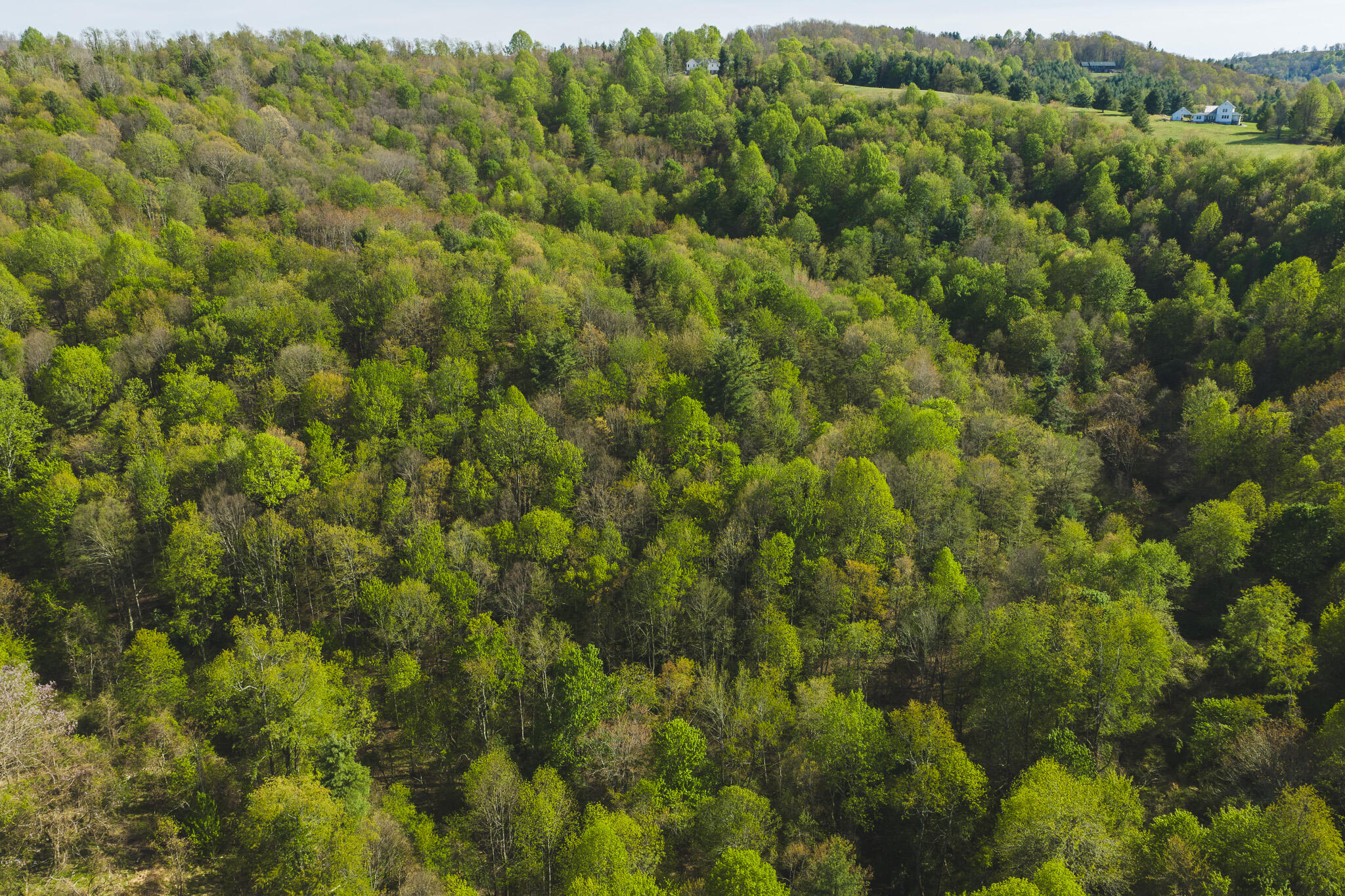 Tbd Black Ridge Road Southwest Floyd, VA 24091 - Photo 4 of 38 DJI_20260421170914_0601_D