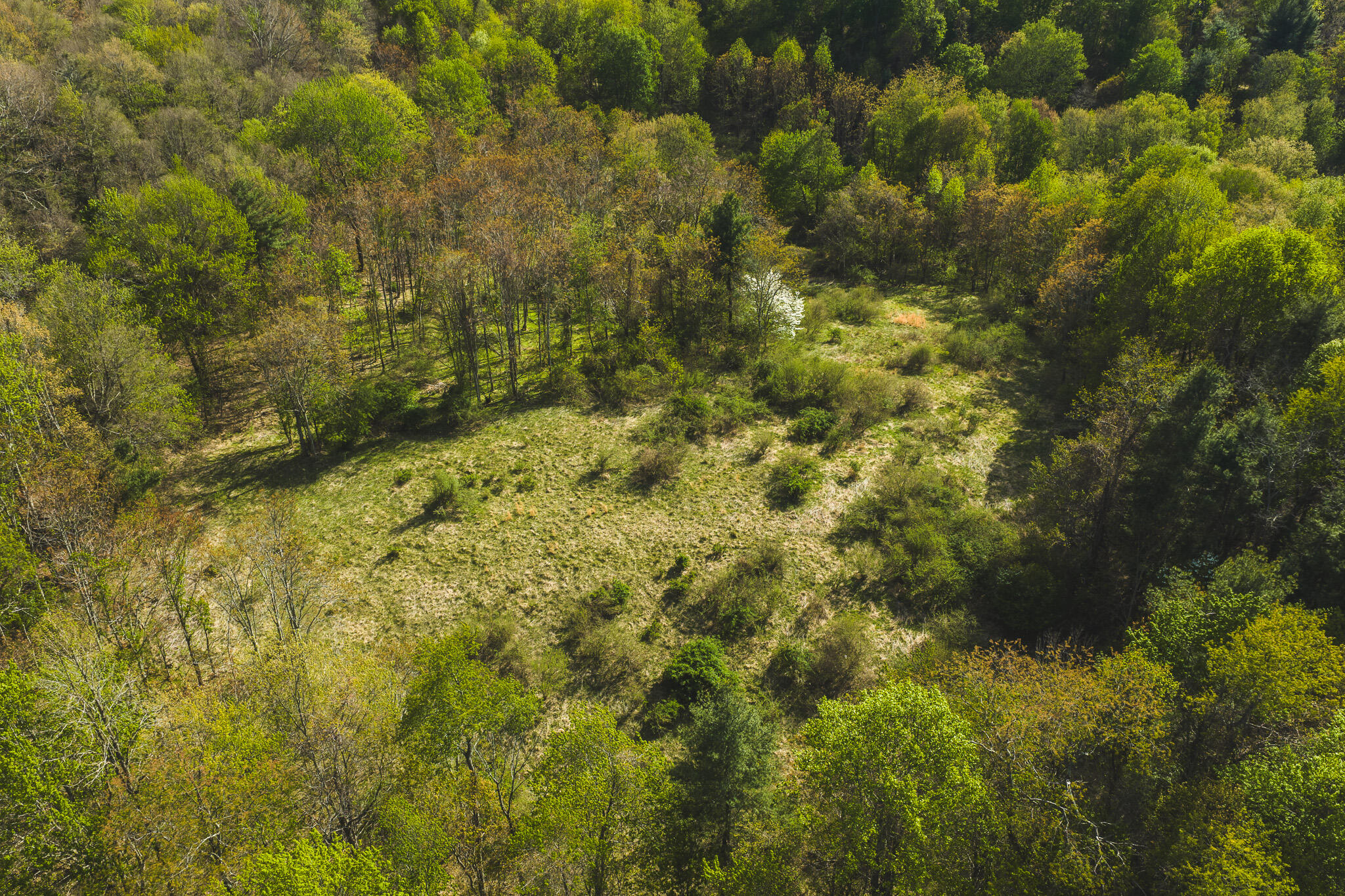 Tbd Black Ridge Road Southwest Floyd, VA 24091 - Photo 5 of 38 DJI_20260421171025_0604_D