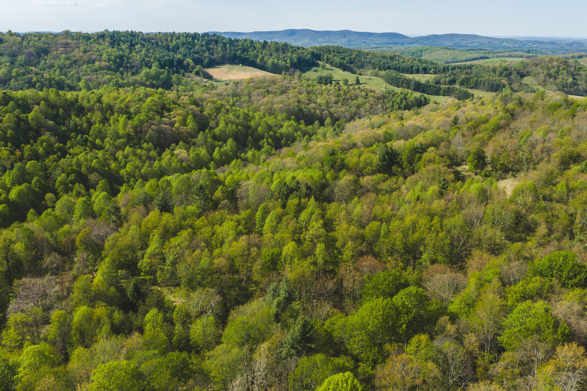 Tbd Black Ridge Road Southwest Floyd, VA 24091 - Photo 6 of 38 DJI_20260421171103_0606_D