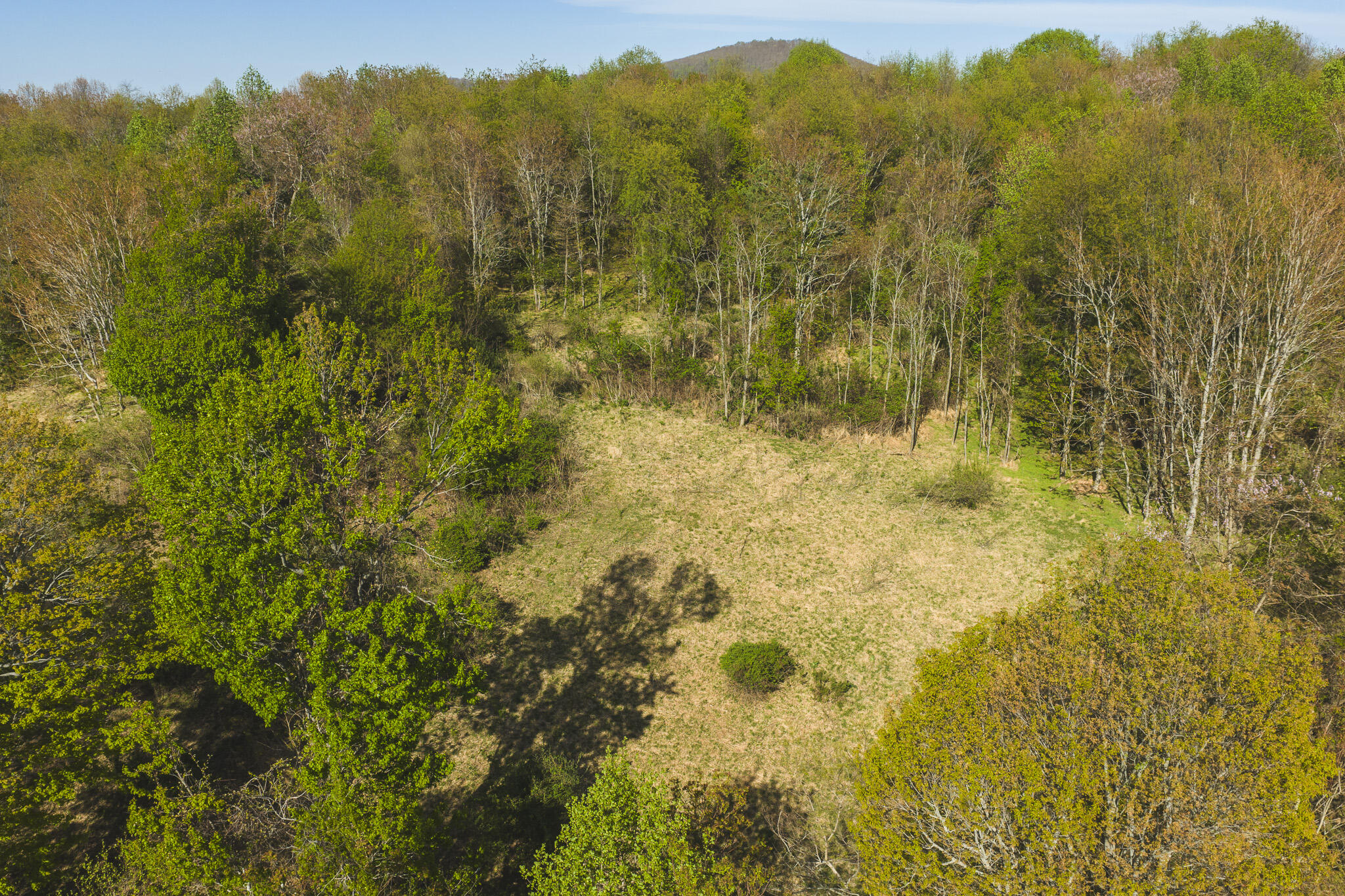 Tbd Black Ridge Road Southwest Floyd, VA 24091 - Photo 8 of 38 DJI_20260421171303_0611_D
