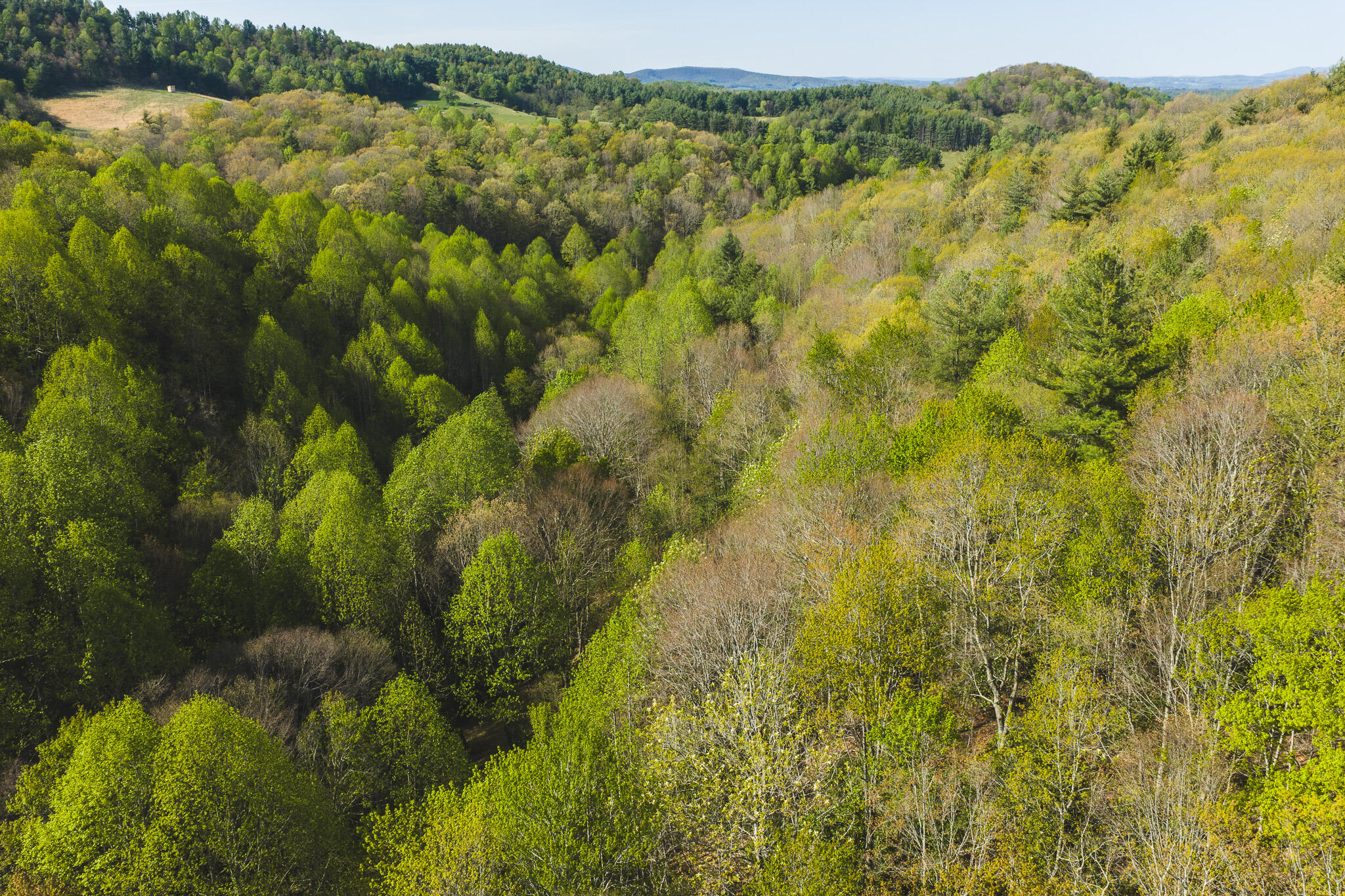 Tbd Black Ridge Road Southwest Floyd, VA 24091 - Photo 10 of 38 DJI_20260421171326_0613_D