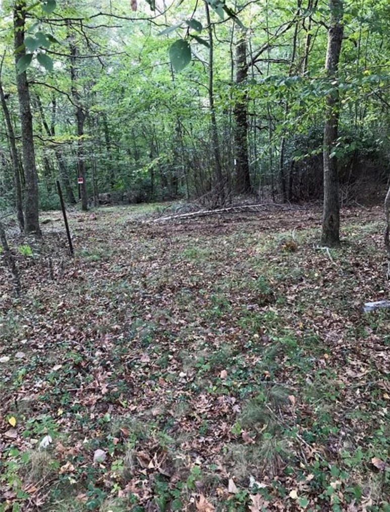 0 Lawton Foster Road South Hopkinton, RI 02833 - Photo 12 of 19