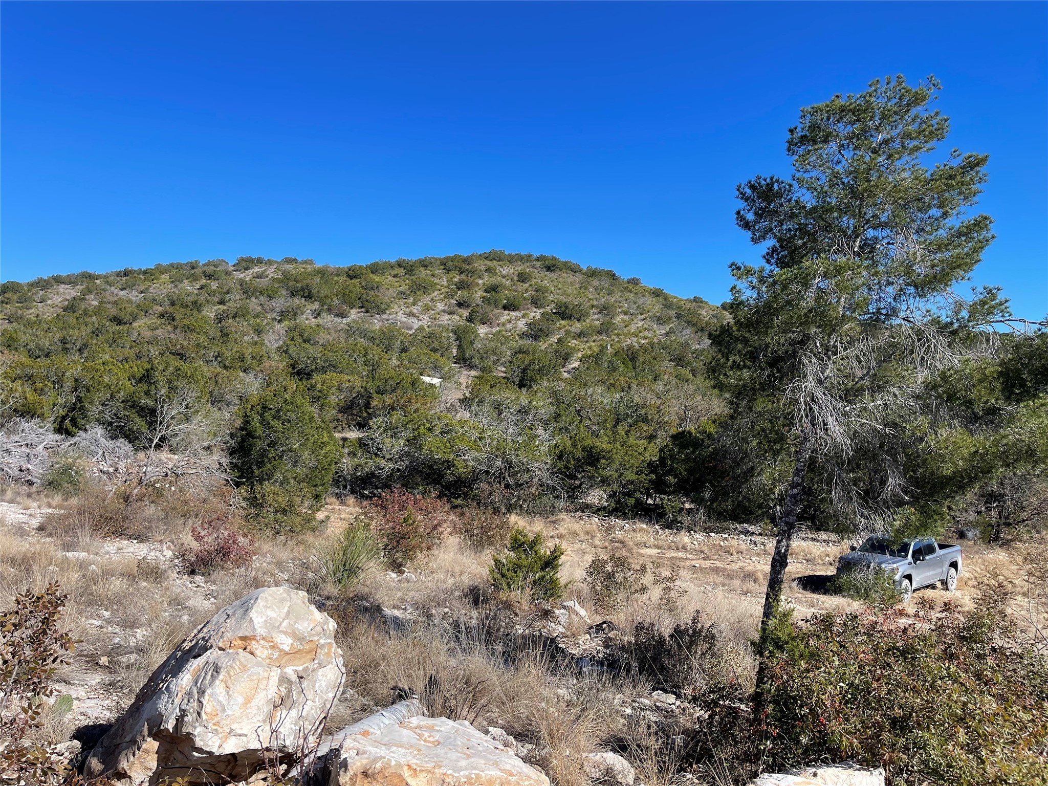 305 Walnut Springs Ranch Road Uvalde, TX 78801 - Photo 14 of 21 a view of a yard with a tree