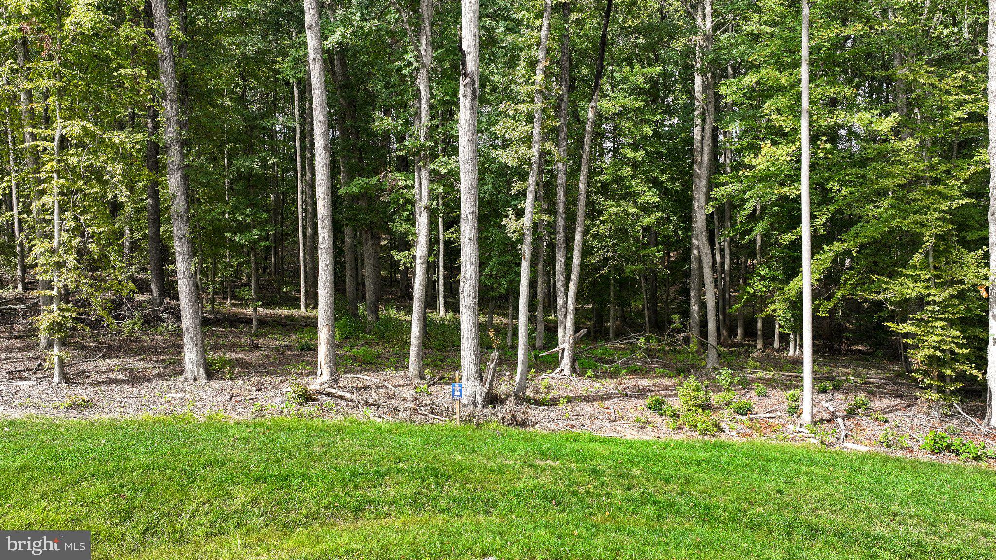 Southern Ridge Mineral, VA 23117 - Photo 25 of 26 Gallery Image 25