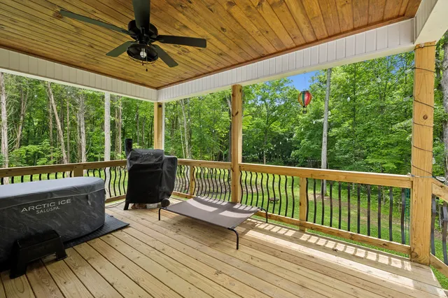 a view of a forest with a lake