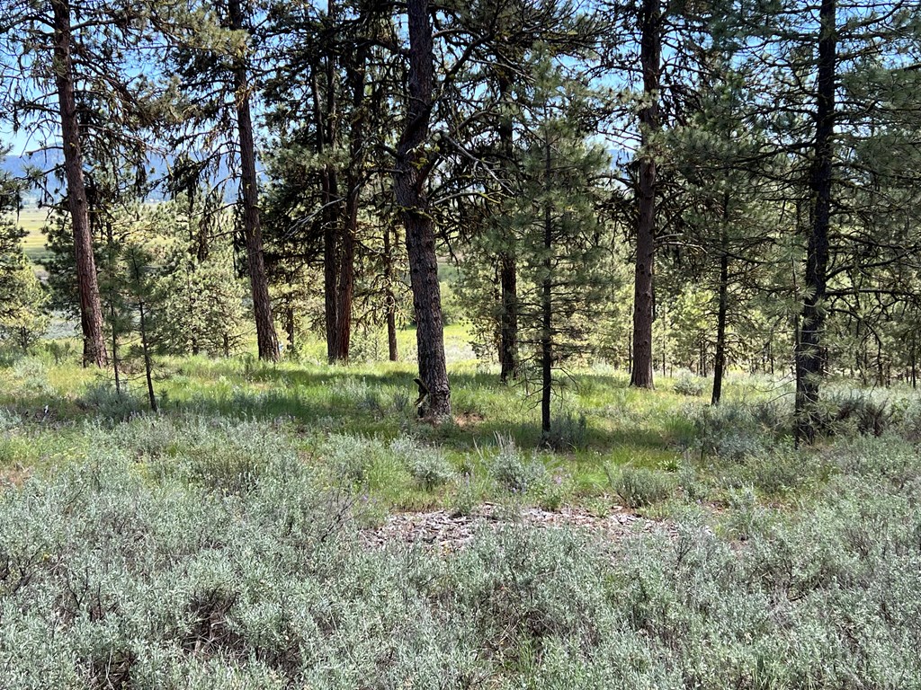 B22-l13 Vardon Road, Unit 13 New Meadows, ID 83654 - Photo 9 of 16