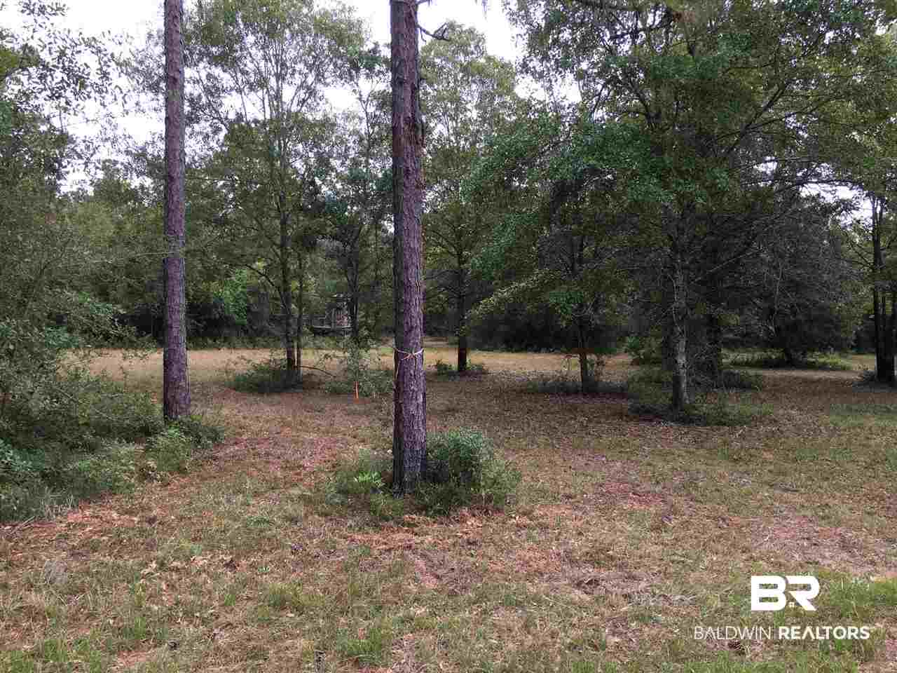 0 New Hope Church Road Robertsdale, AL 36567 - Photo 12 of 17