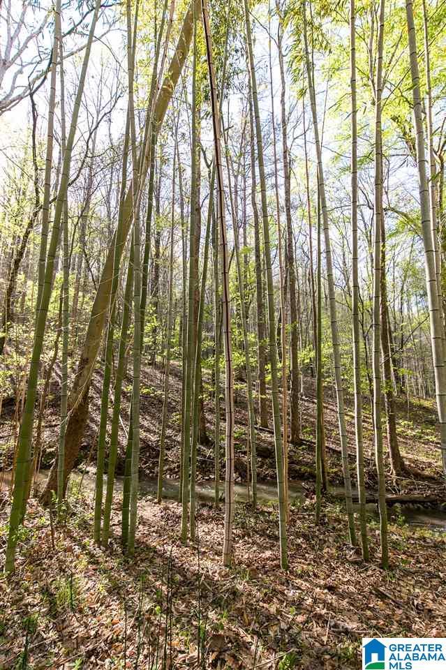 8751 Clayton Cove Road Springville, AL 35146 - Photo 15 of 44